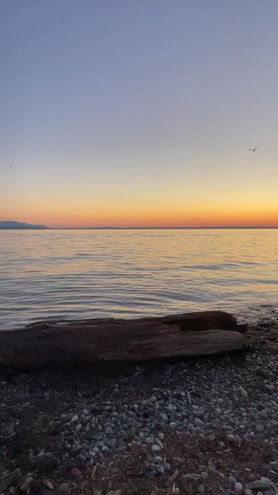 Marine Park - Beaches Near Me - Bellingham, Washington