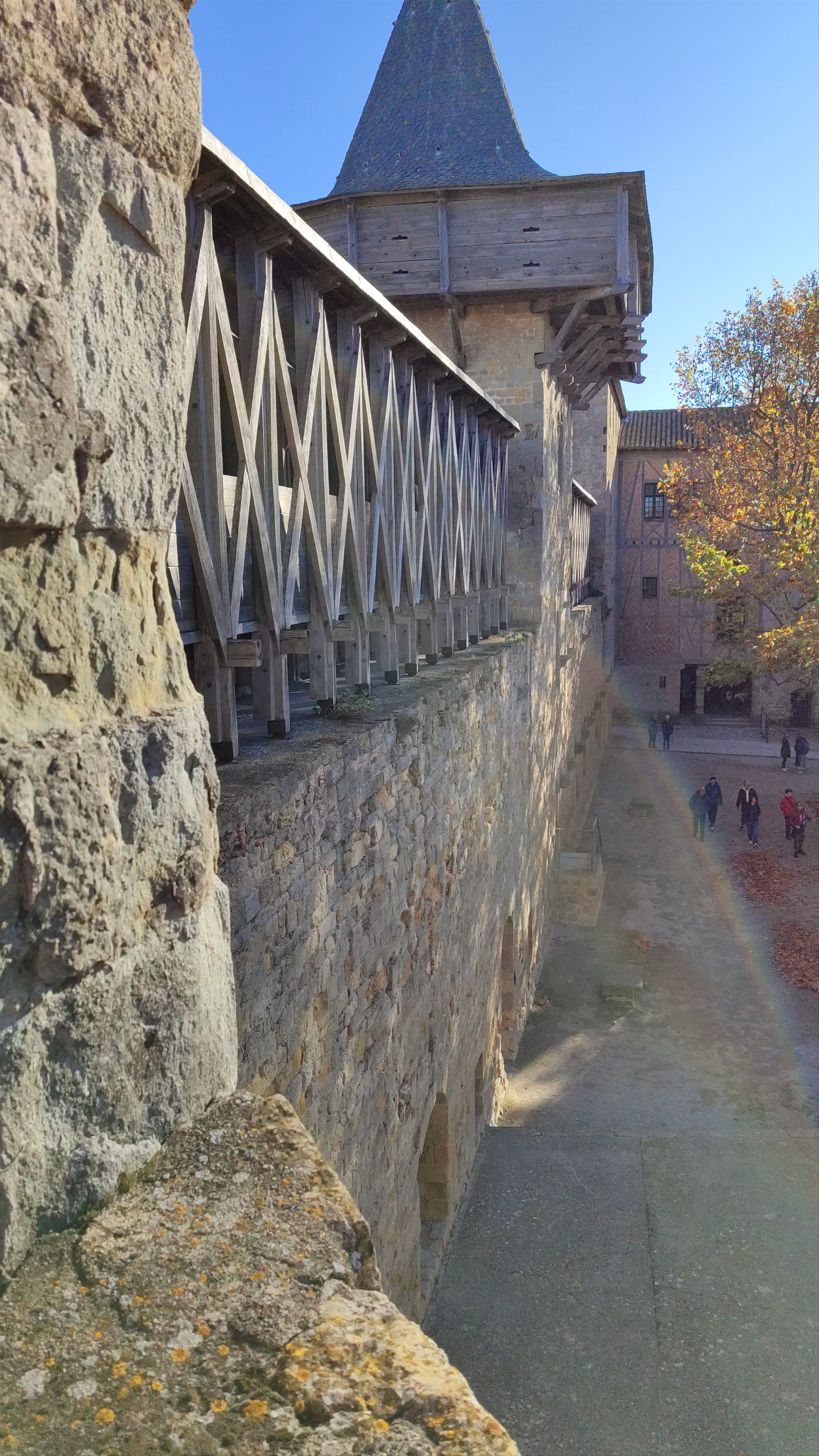 Château et remparts de la cité de Carcassonne
