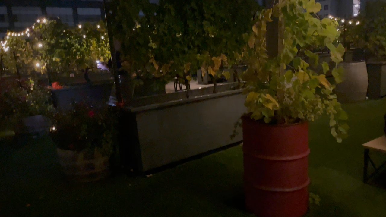 Rooftop Reds - Outdoor seating - Wineries Near Me - Brooklyn, New York