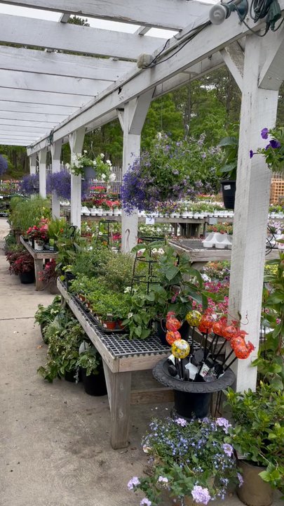 Agway Of Cape Cod Dennis