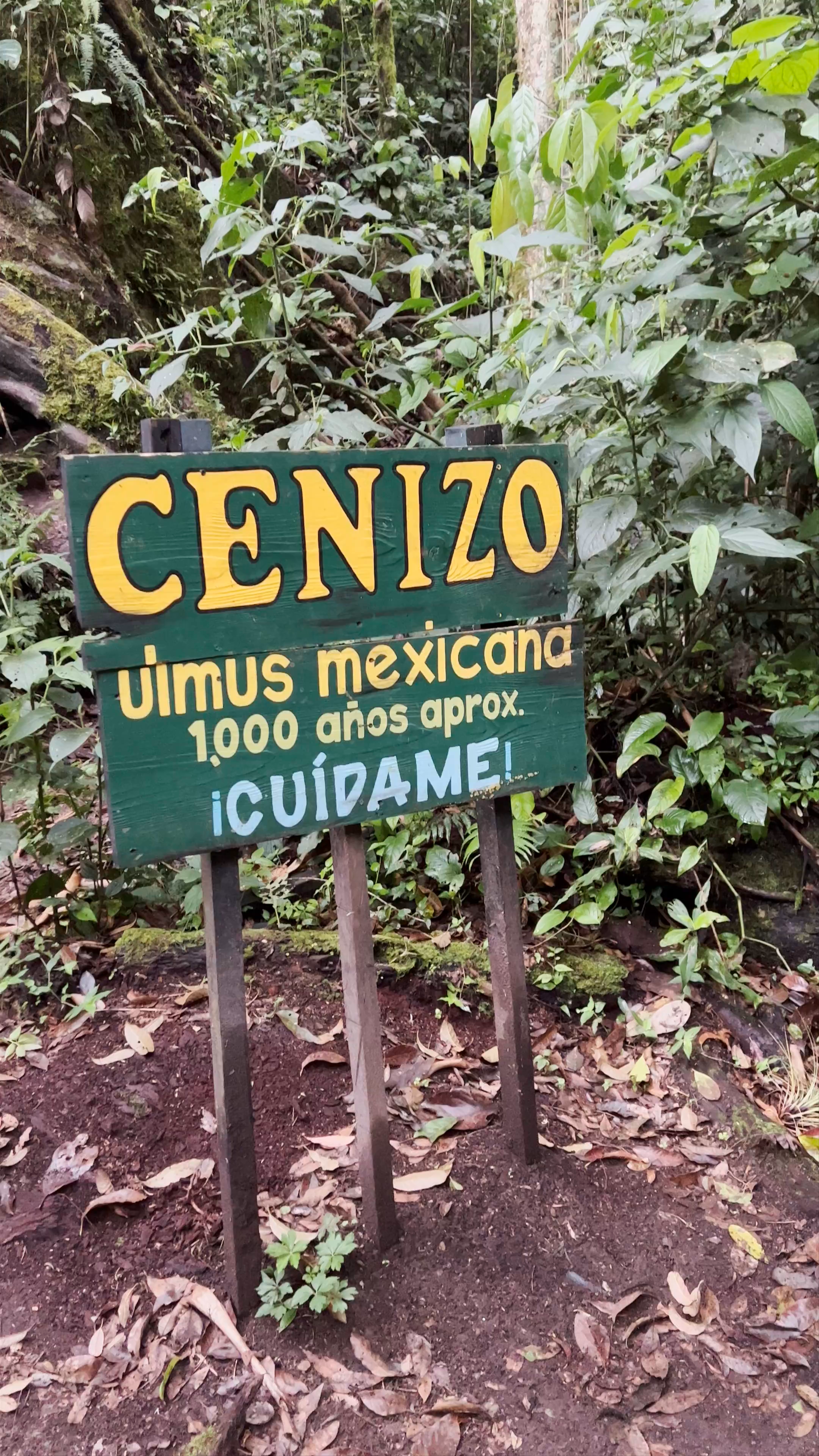 Pipeline Trail (Waterfall)