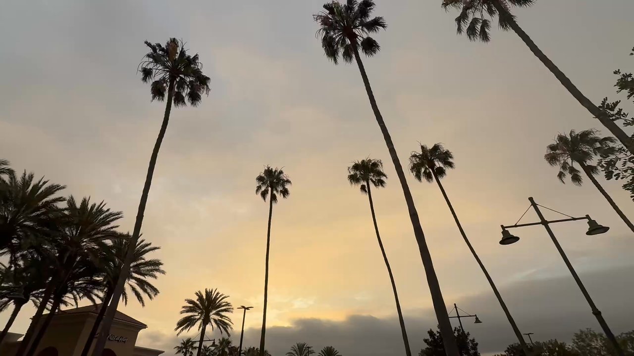 Video thumbnail 6 more videos
