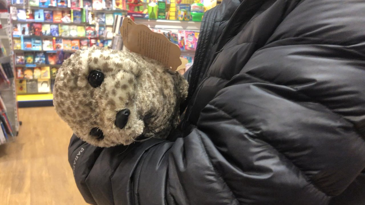 Mastermind Toys - Cutest puppets ever - Toy Stores Near Me - St. Albert, Alberta