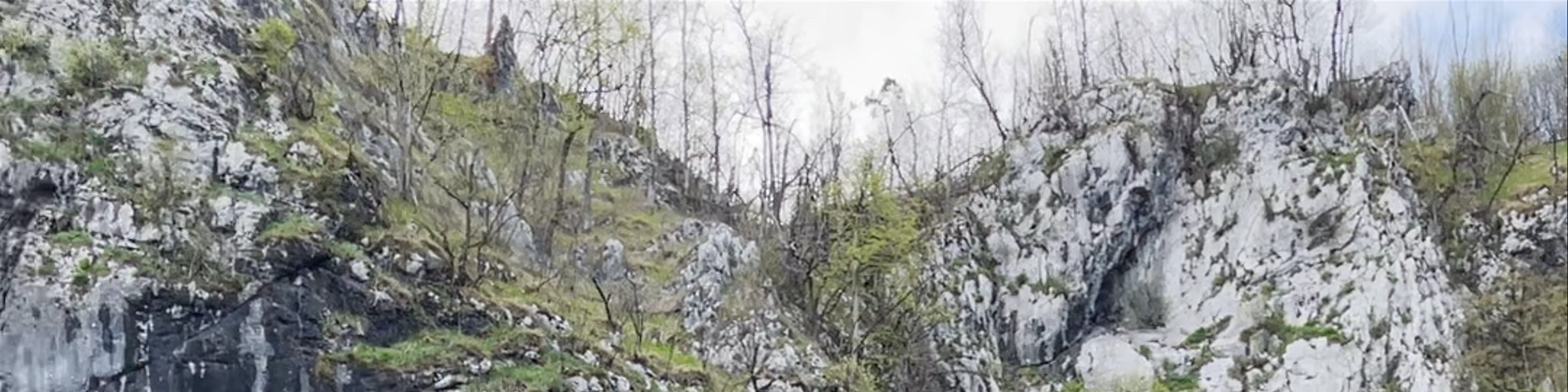 Predjama Castle