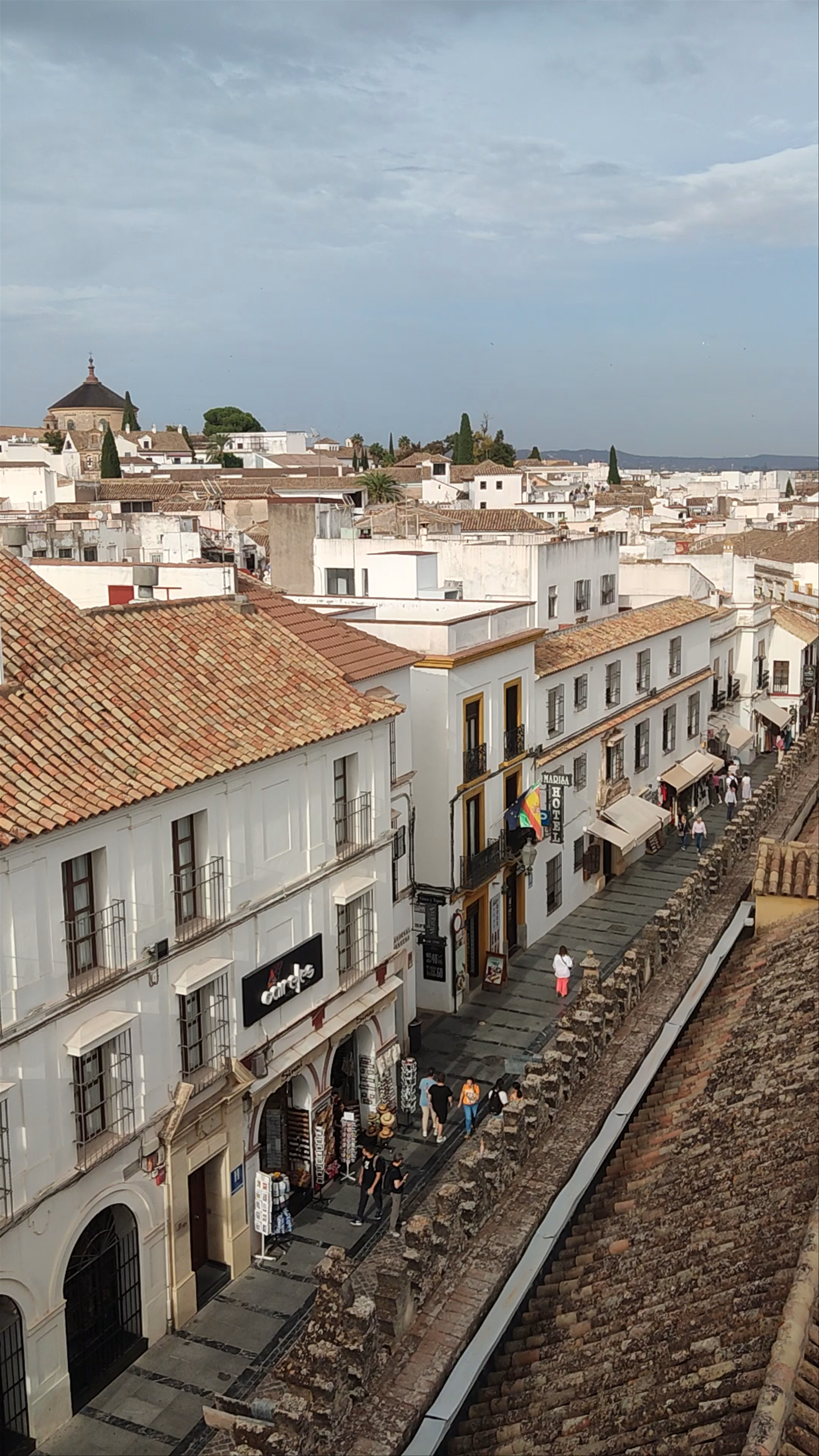Patio de los Naranjos