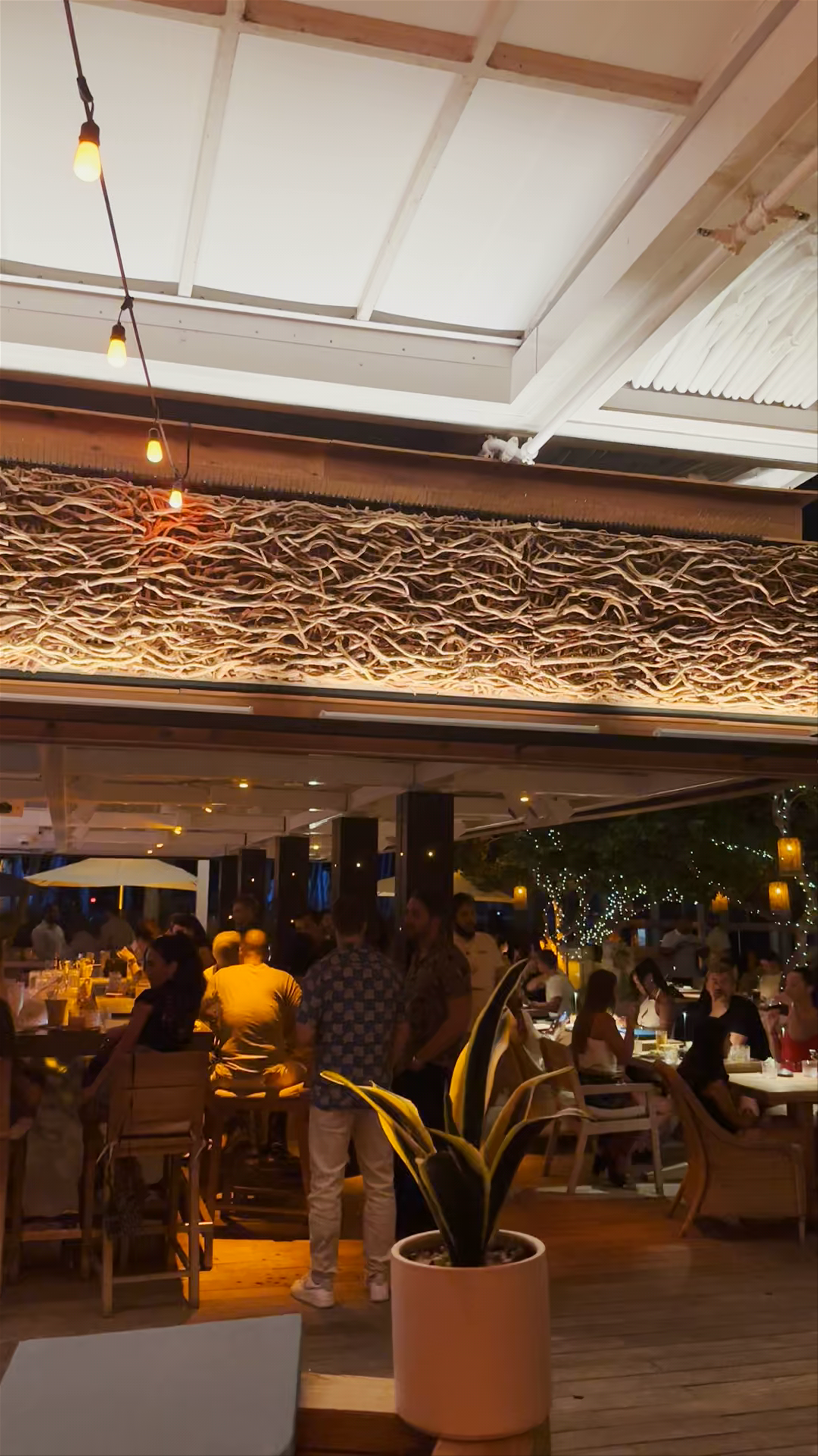 Watr at the 1 Rooftop: Miami Beach Nightlife Vibes