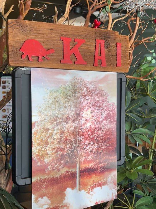 Kai Sushi - Beautiful Picture showing the 4 seasons - Japanese Near Me - Orange, California