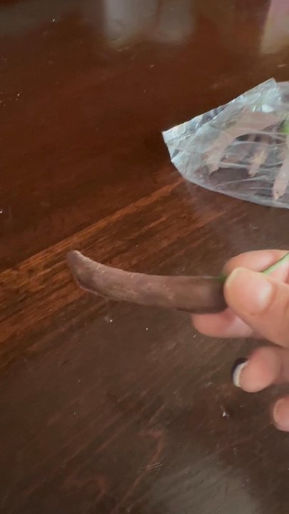 Bakery Barn - Chocolate dipped Serano peppers!! Omg!! - Bakeries Near Me - Lewiston, Maine