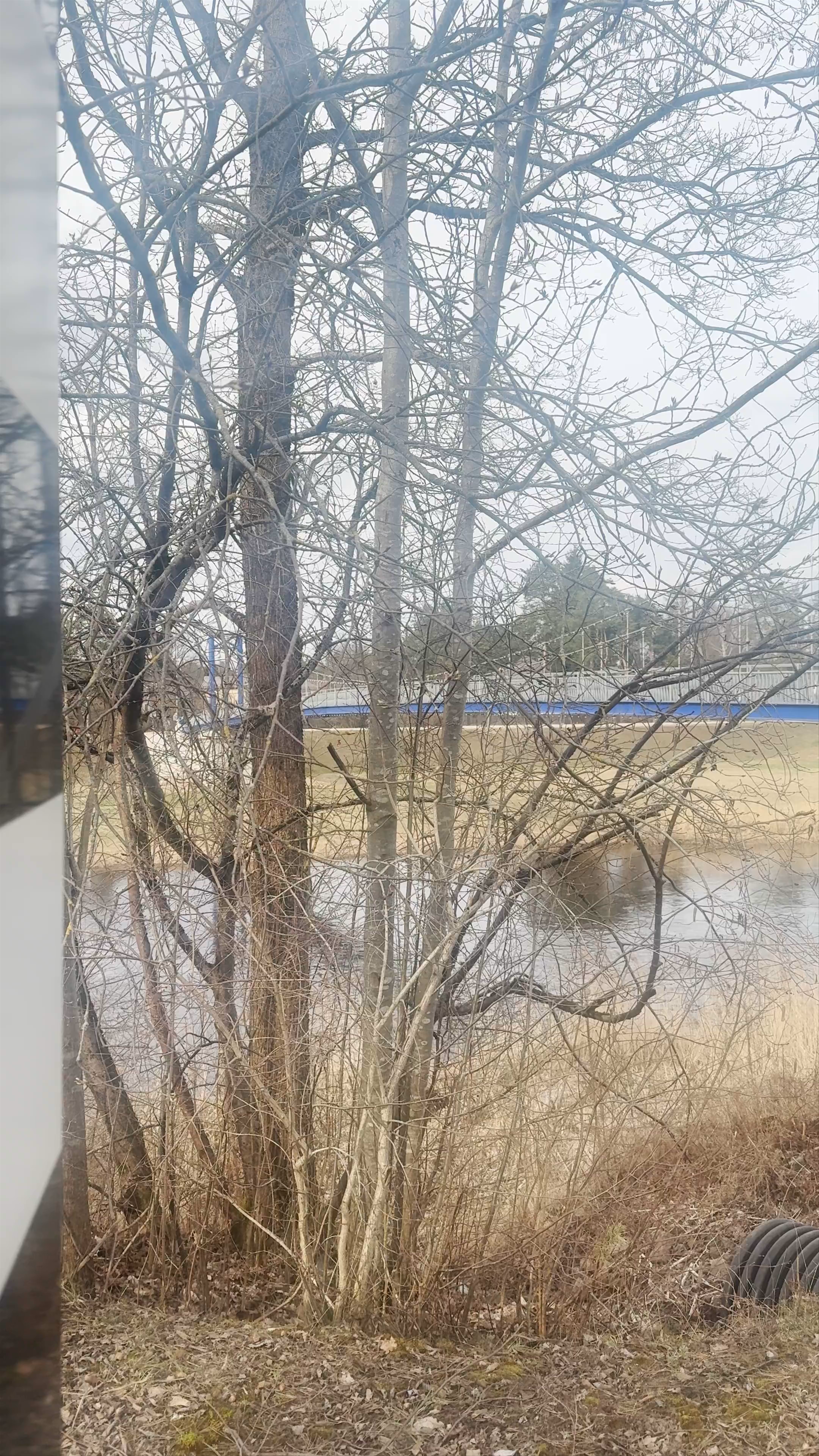 Огрский вантовый пешеходный мост