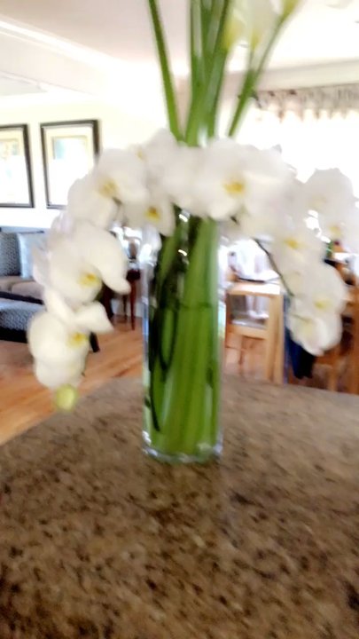 Little Bee Flowers - Here is one of my most recent purchases at Little Bee Flowers - Florists Near Me - Glendale, California