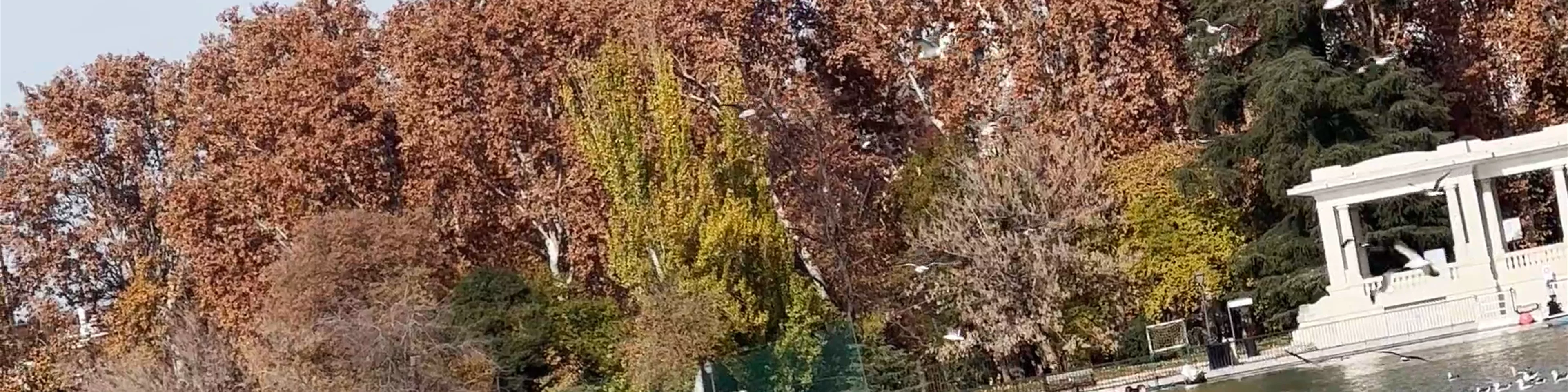 Estanque Grande de El Retiro