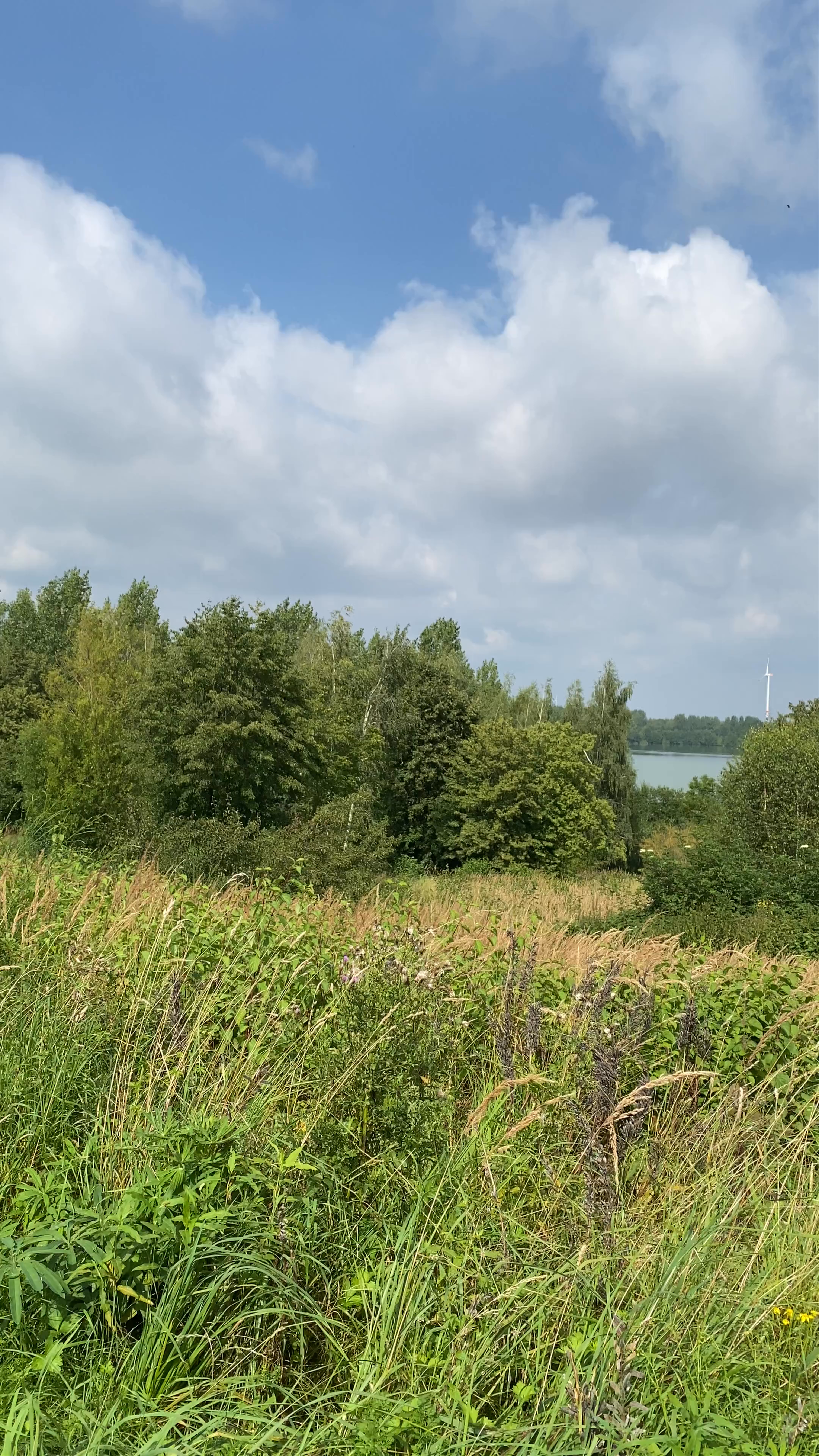 Scenic Views at Aussichtspunkt Blausteinsee, Eschweiler, Germany