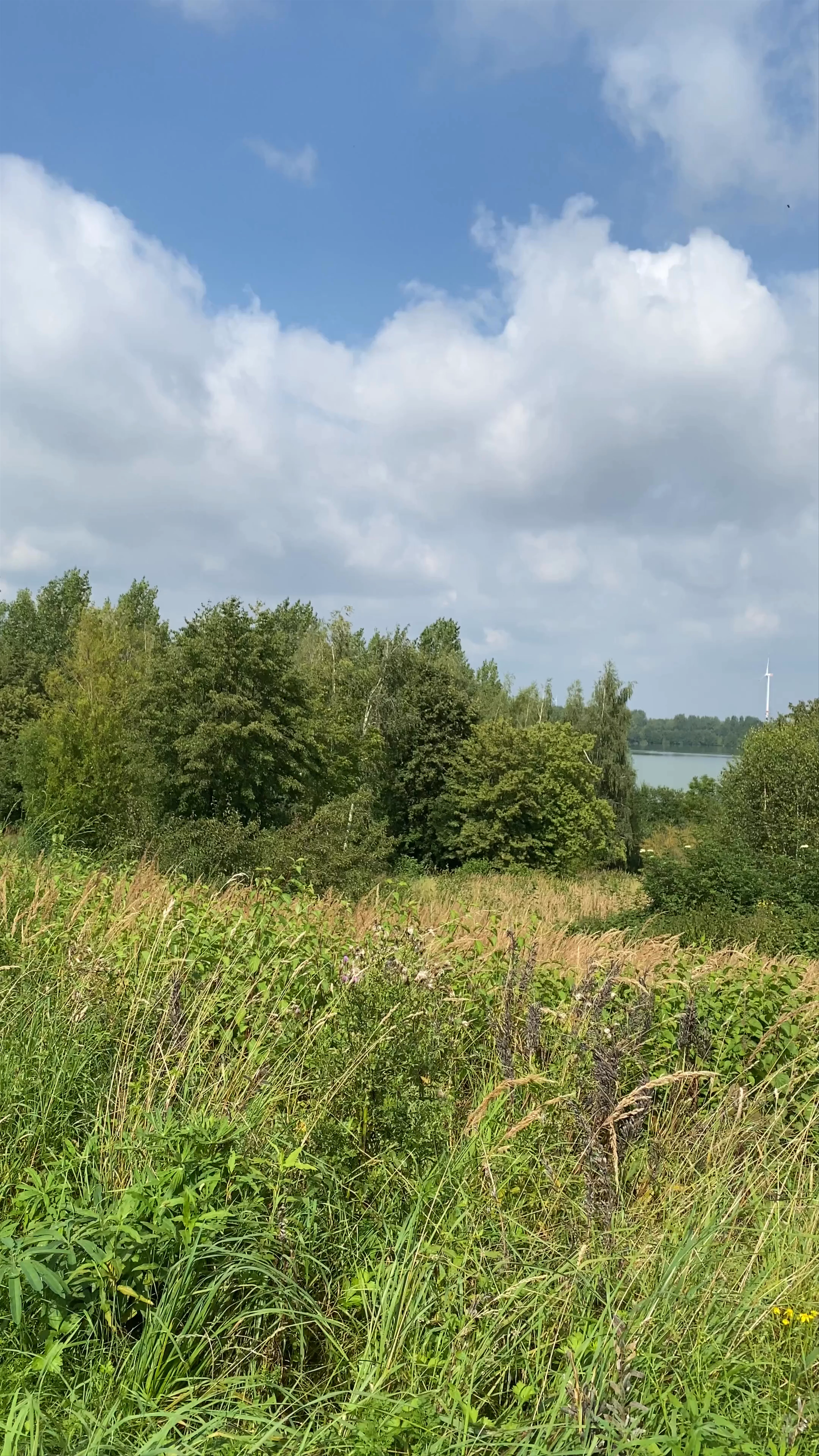 Aussichtspunkt Blausteinsee, Zum Blaustein-See