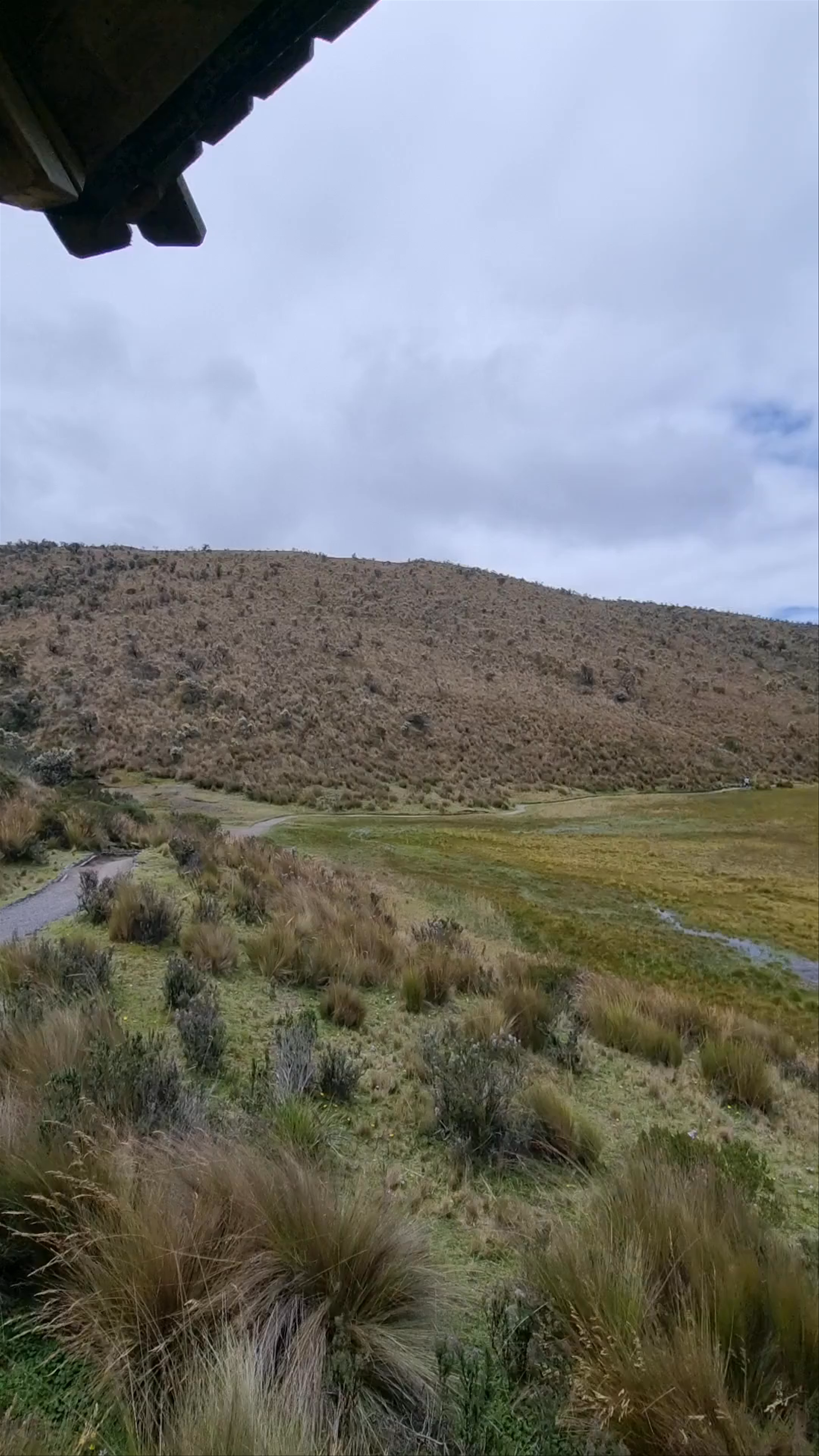 Laguna de Limpiopung: Untamed Wilderness of Ecuador's Highlands