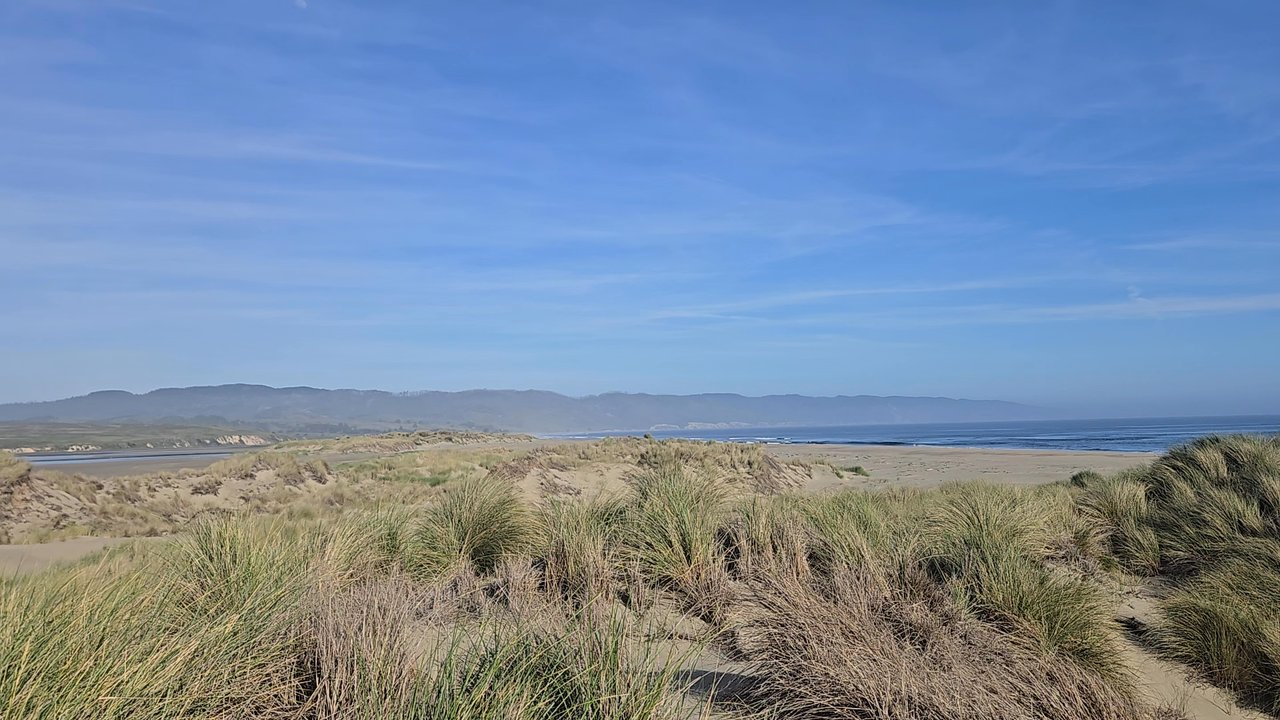 Limantour Beach - Beaches Near Me - Point Reyes Station, California
