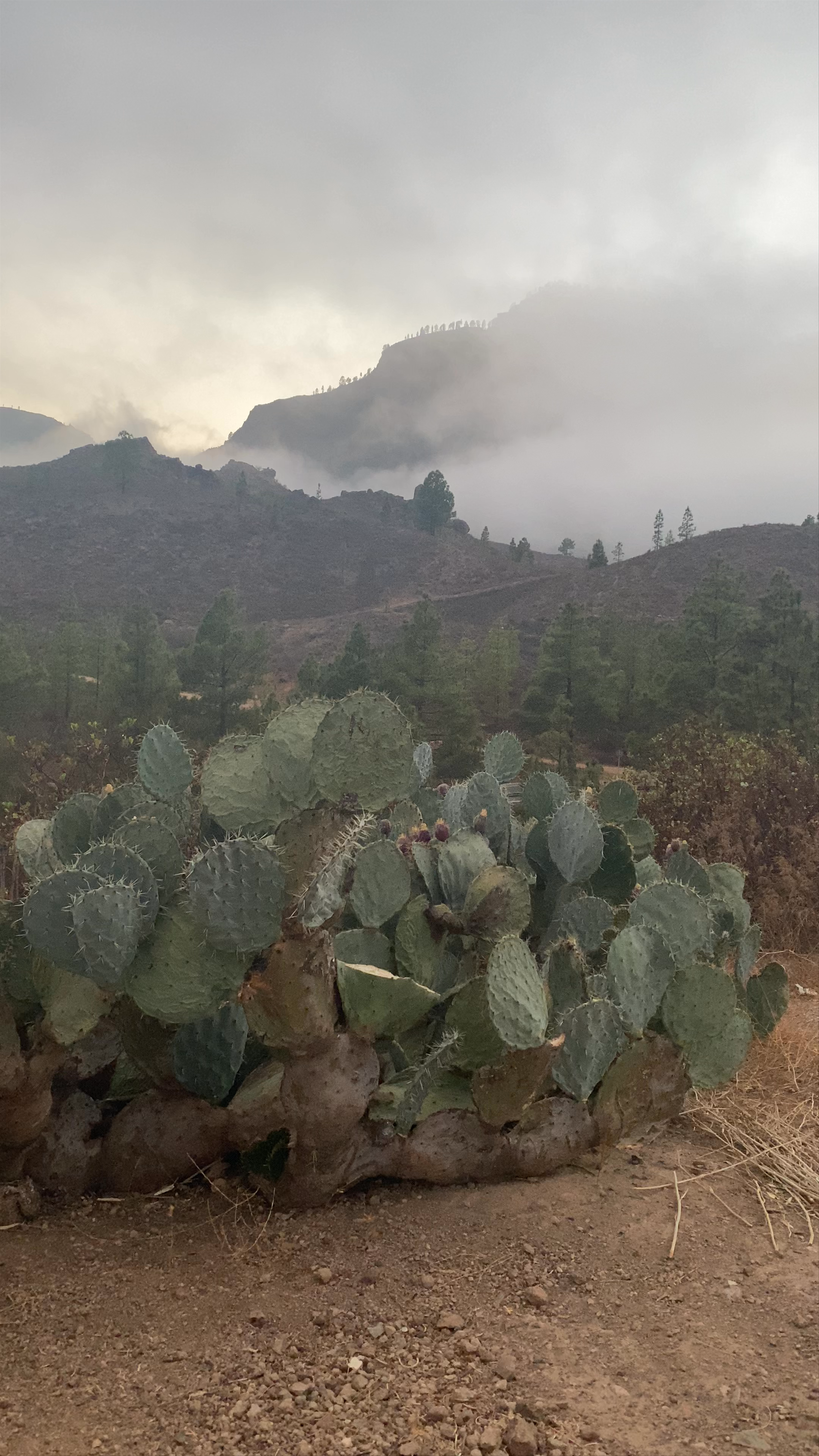 Mirador de Fataga