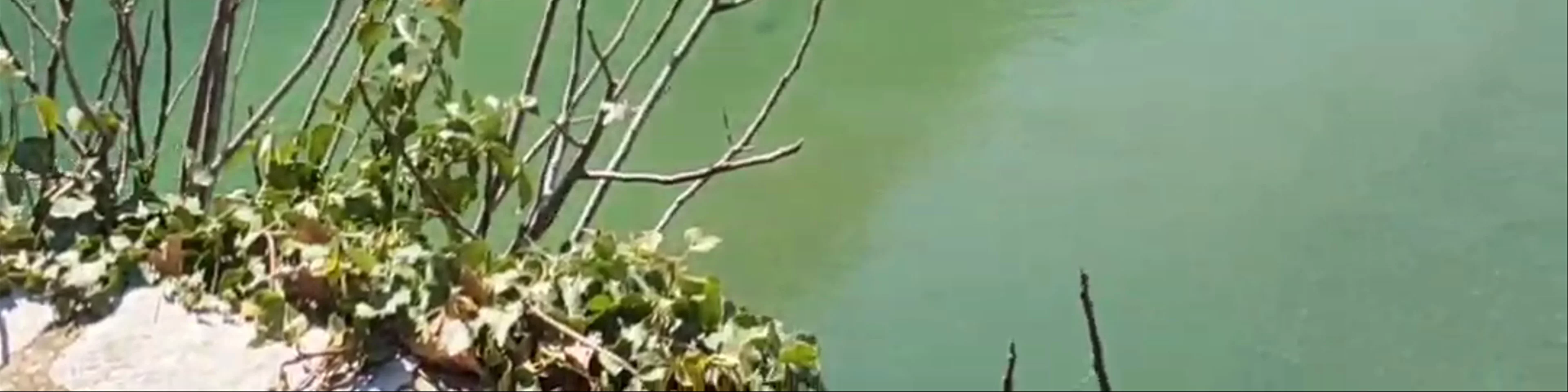 Γεφύρι Αρίστης