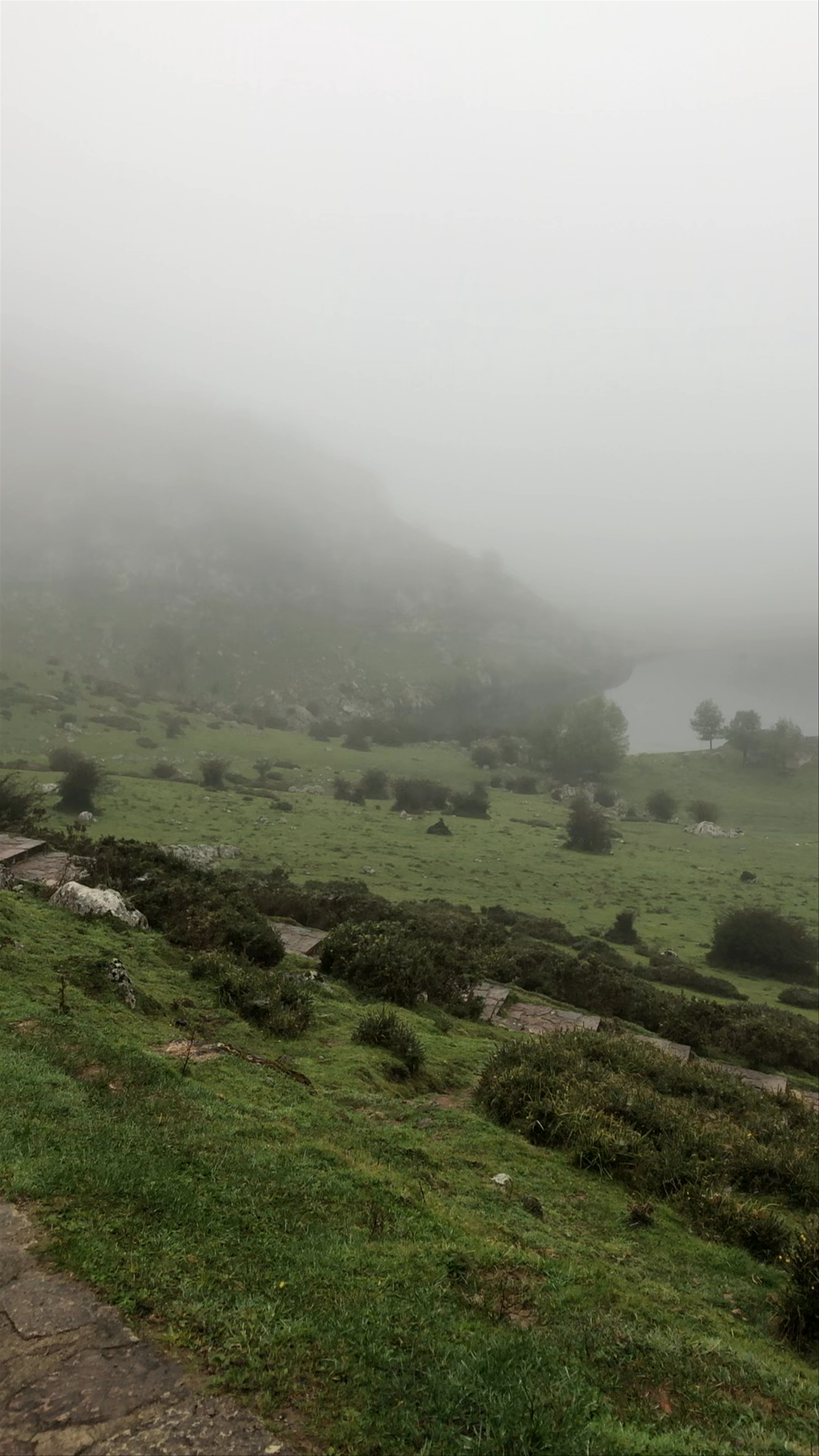 Parque Nacional de los Picos de Europa en Peñamellera Alta