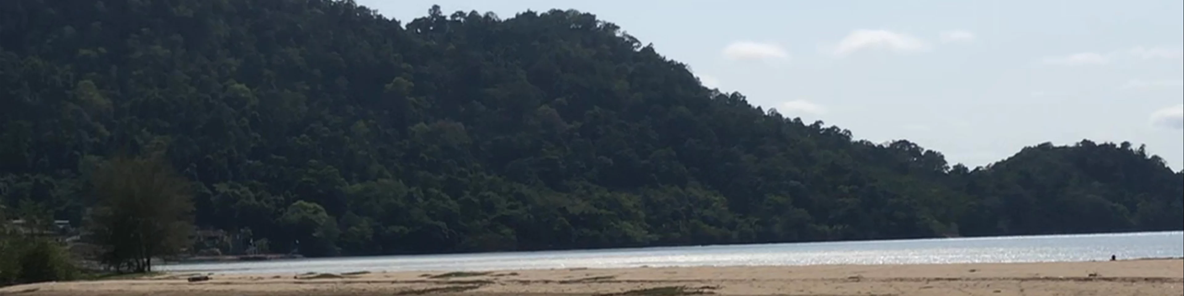 The Lonely Tree in the Sea