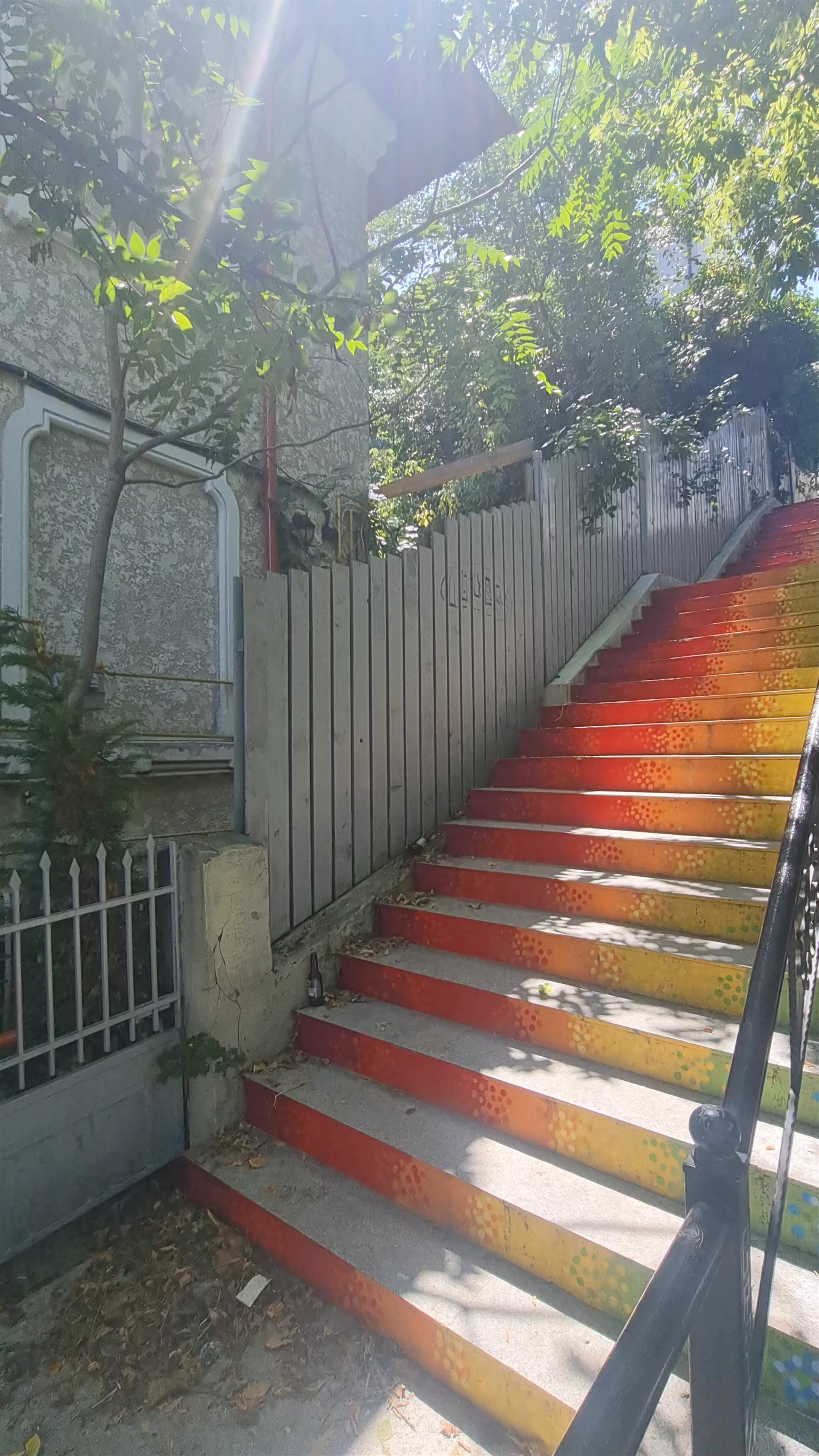 The Stairs of Happiness, Strada Doctor Grigore Romniceanu