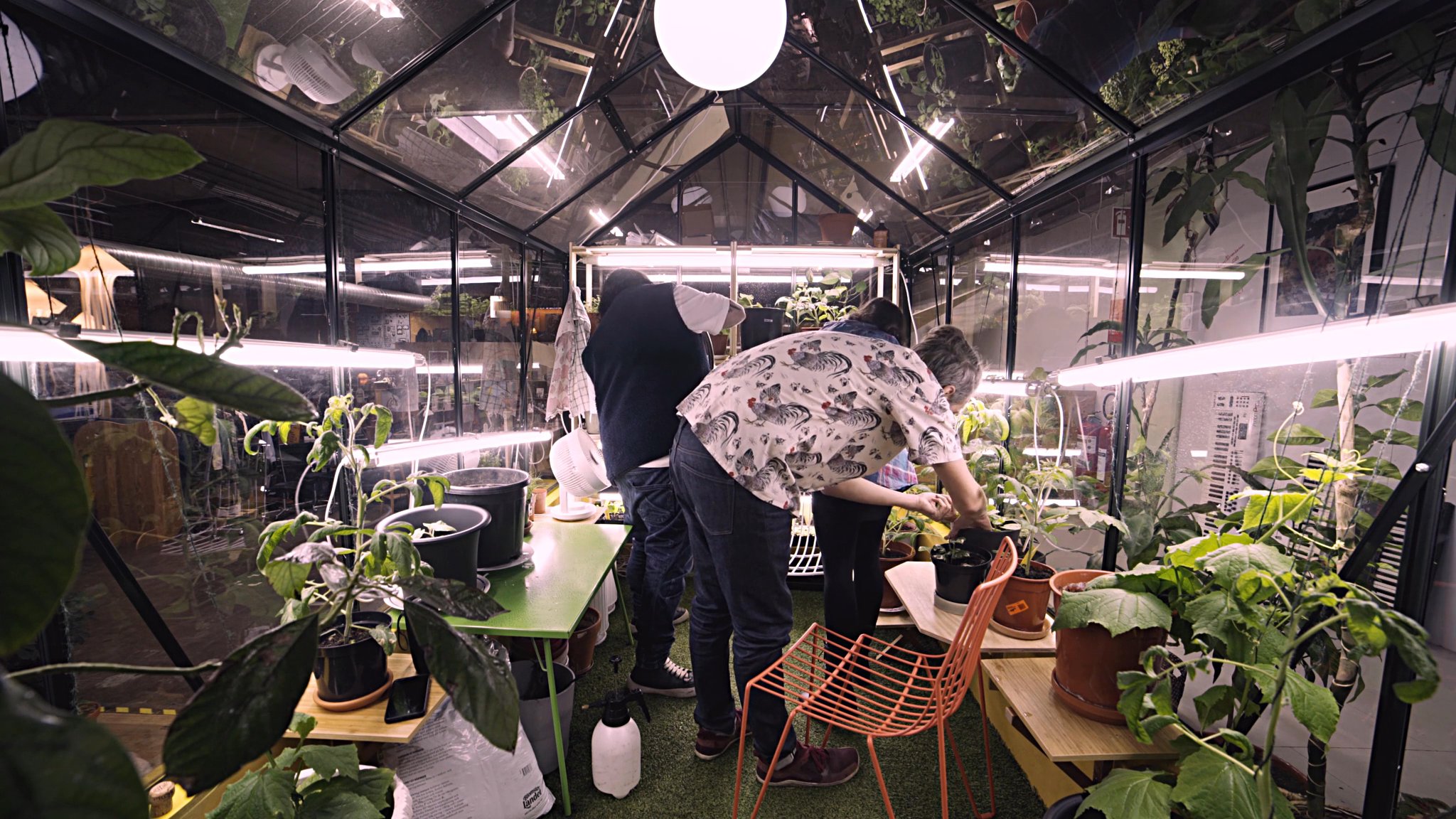 Greenhouse