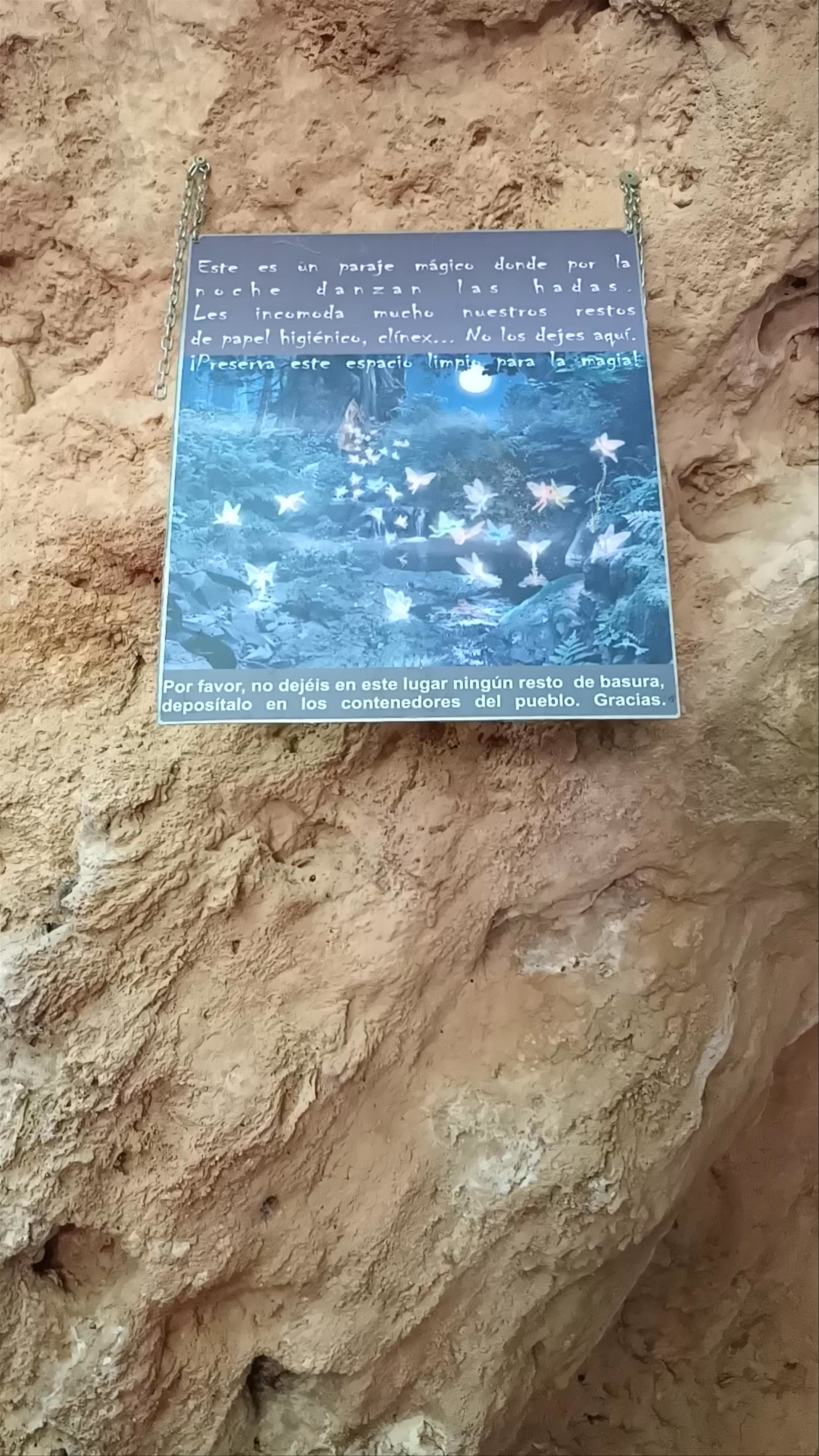 Charco Pataco