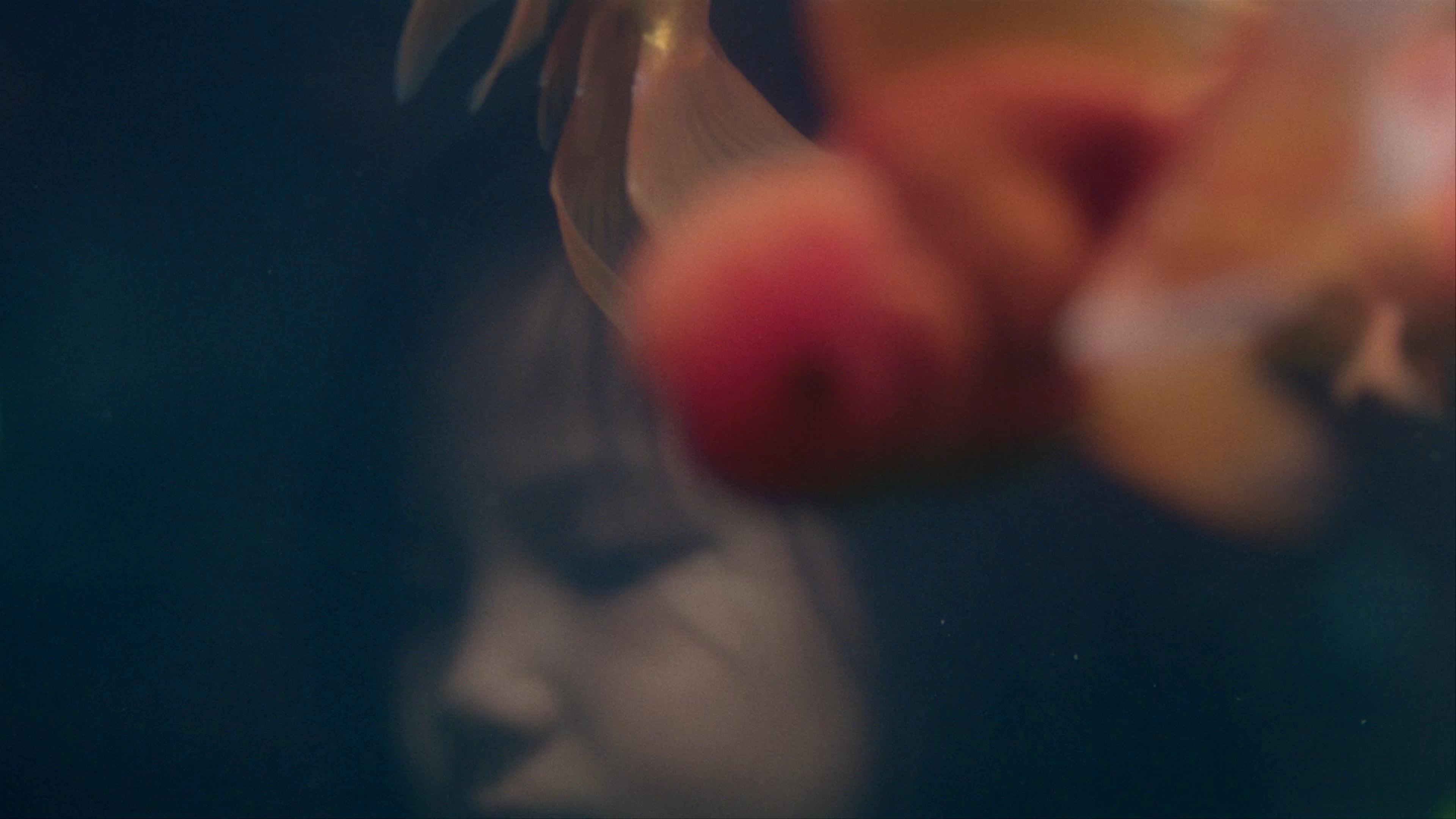 Drone: DJI Inspire 2 providing aerial cinematography for Volvo S90 for Volvo, demonstrating High-speed tracking capabilities and cinematic aerial storytelling.