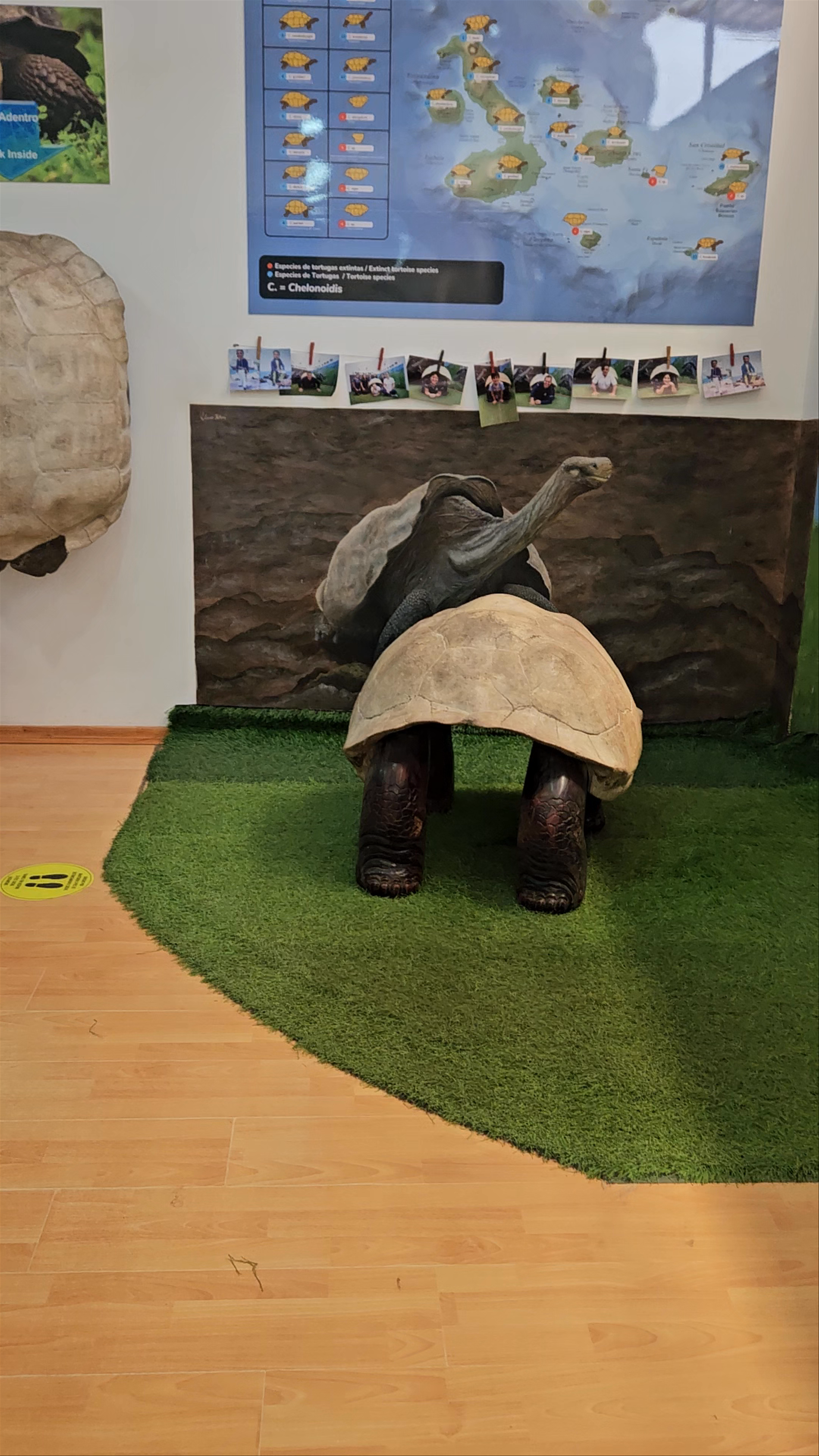 Fundación Charles Darwin - Punto de Donación