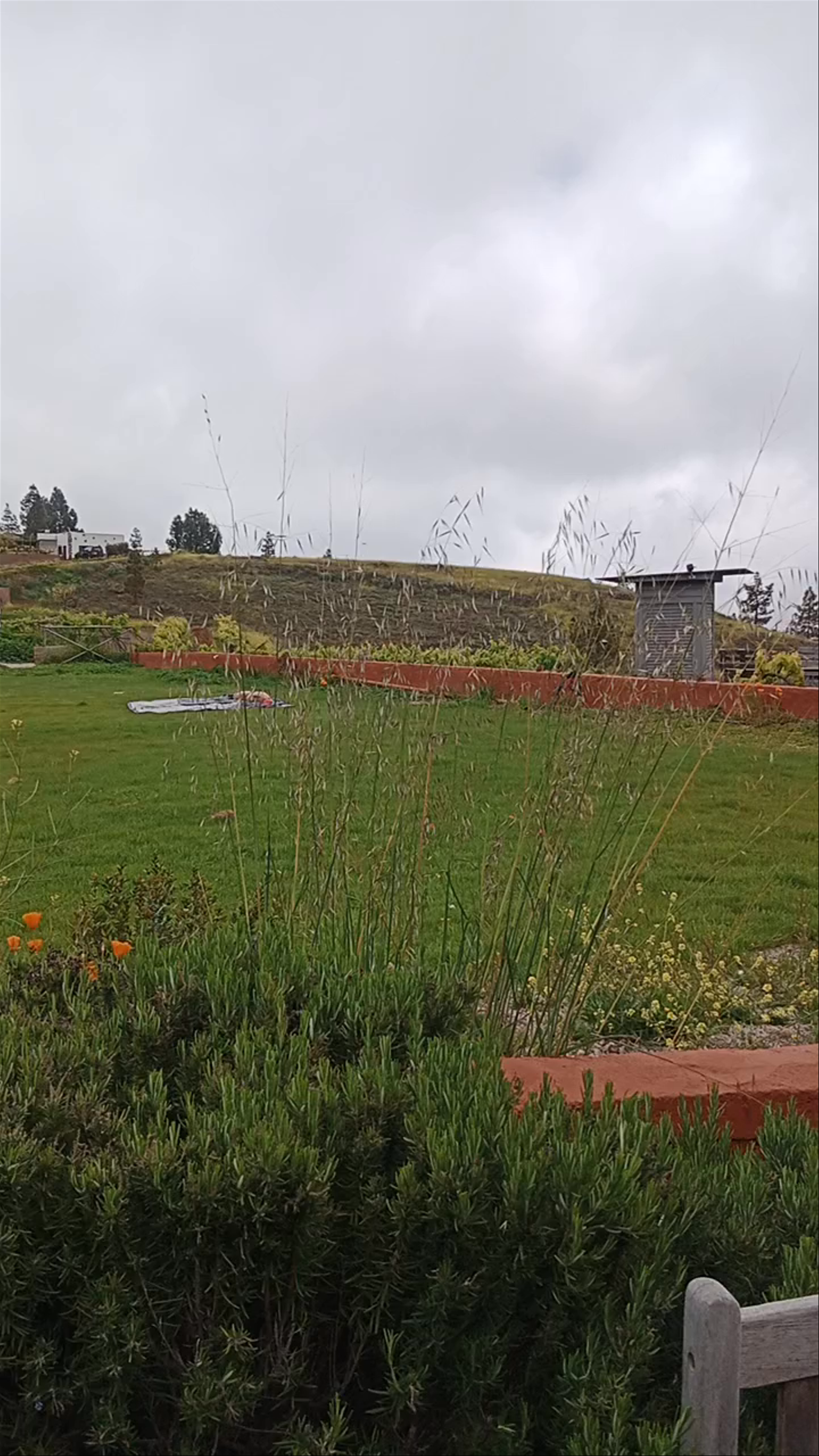 Restaurante Finca Tres Roques