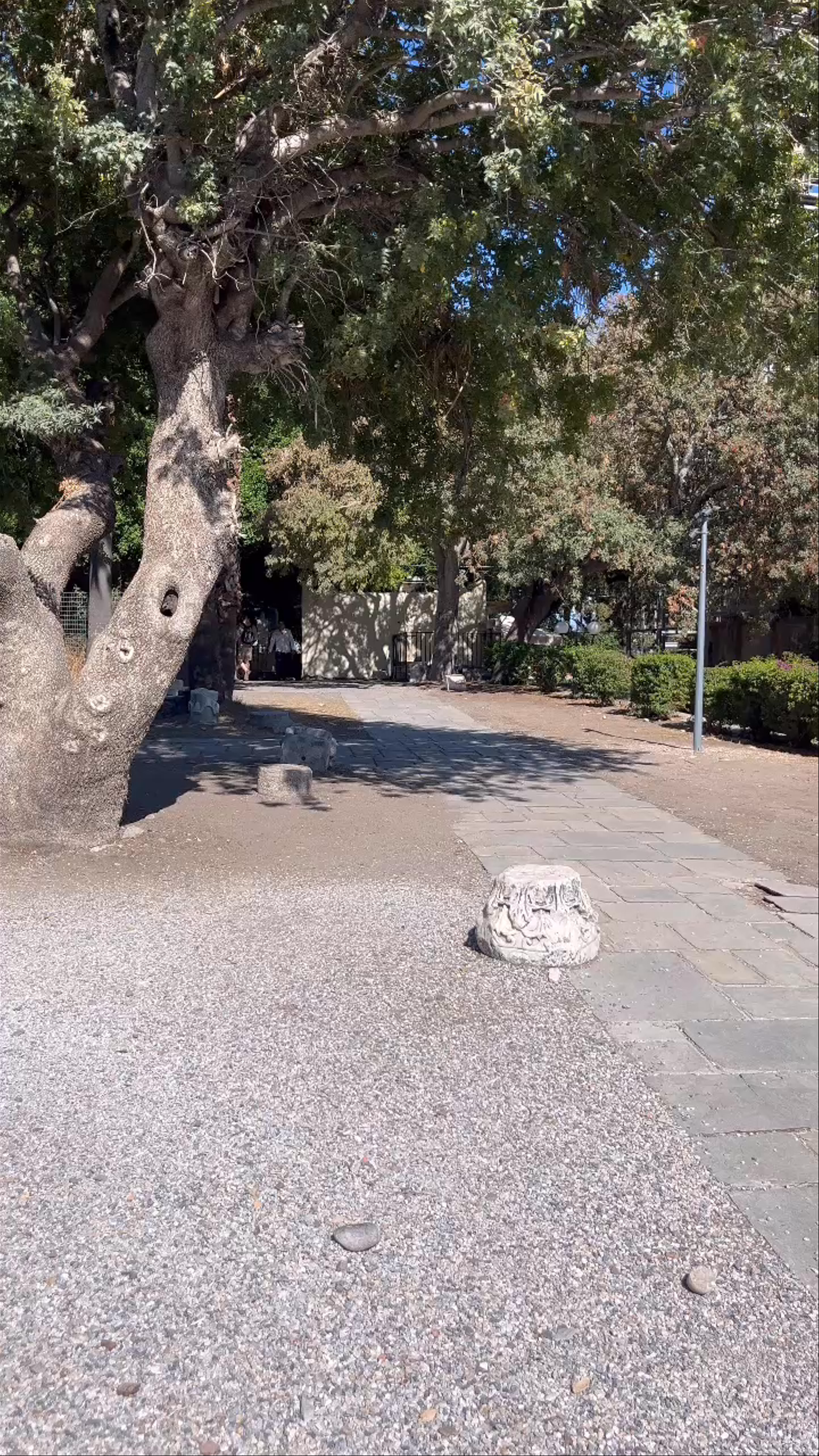 Agalma tou Hippokrati: Serene Historical Walk in Kos, Greece