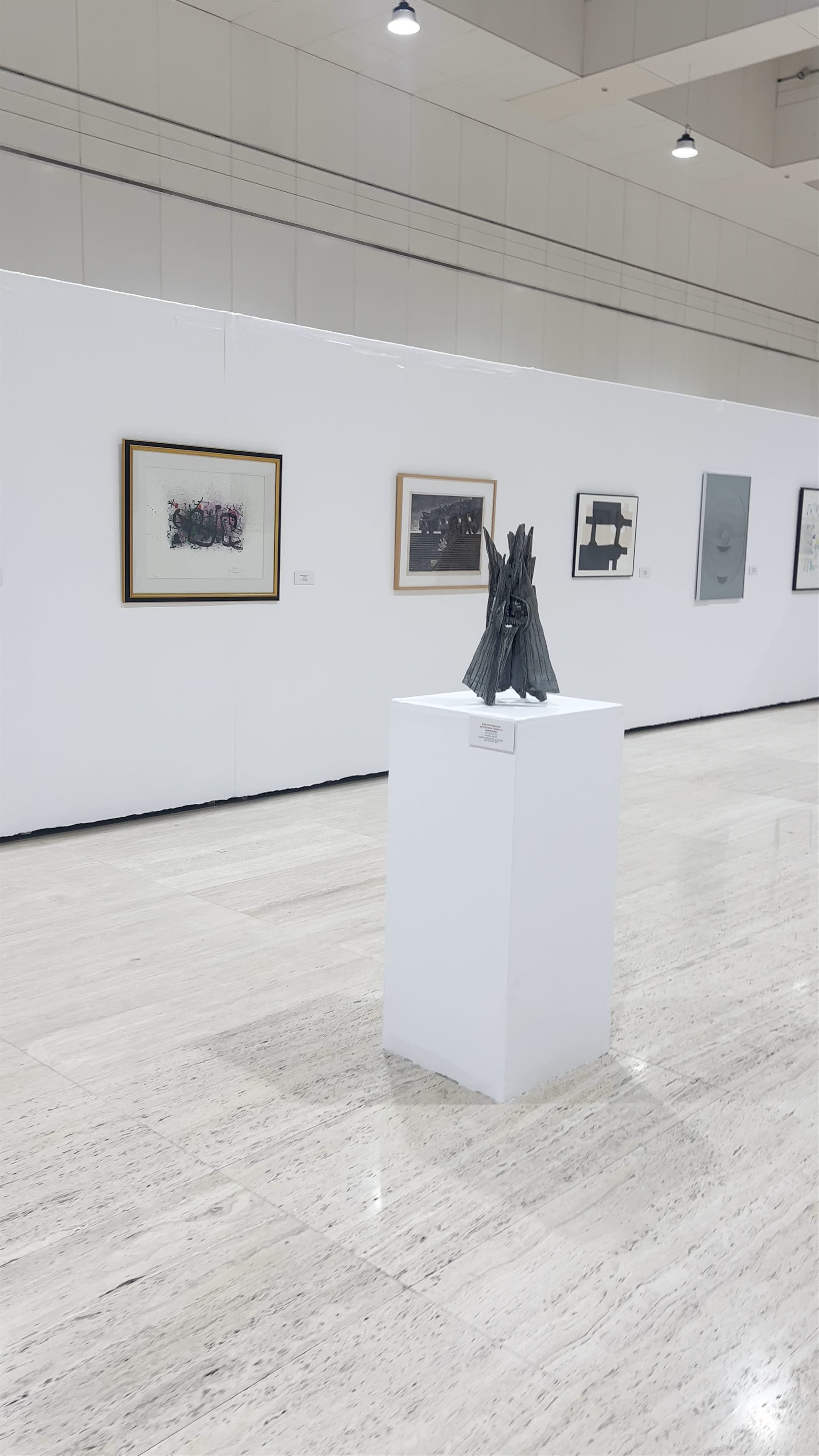 Contemporary Art Experience at Museo de la Universidad de Alicante