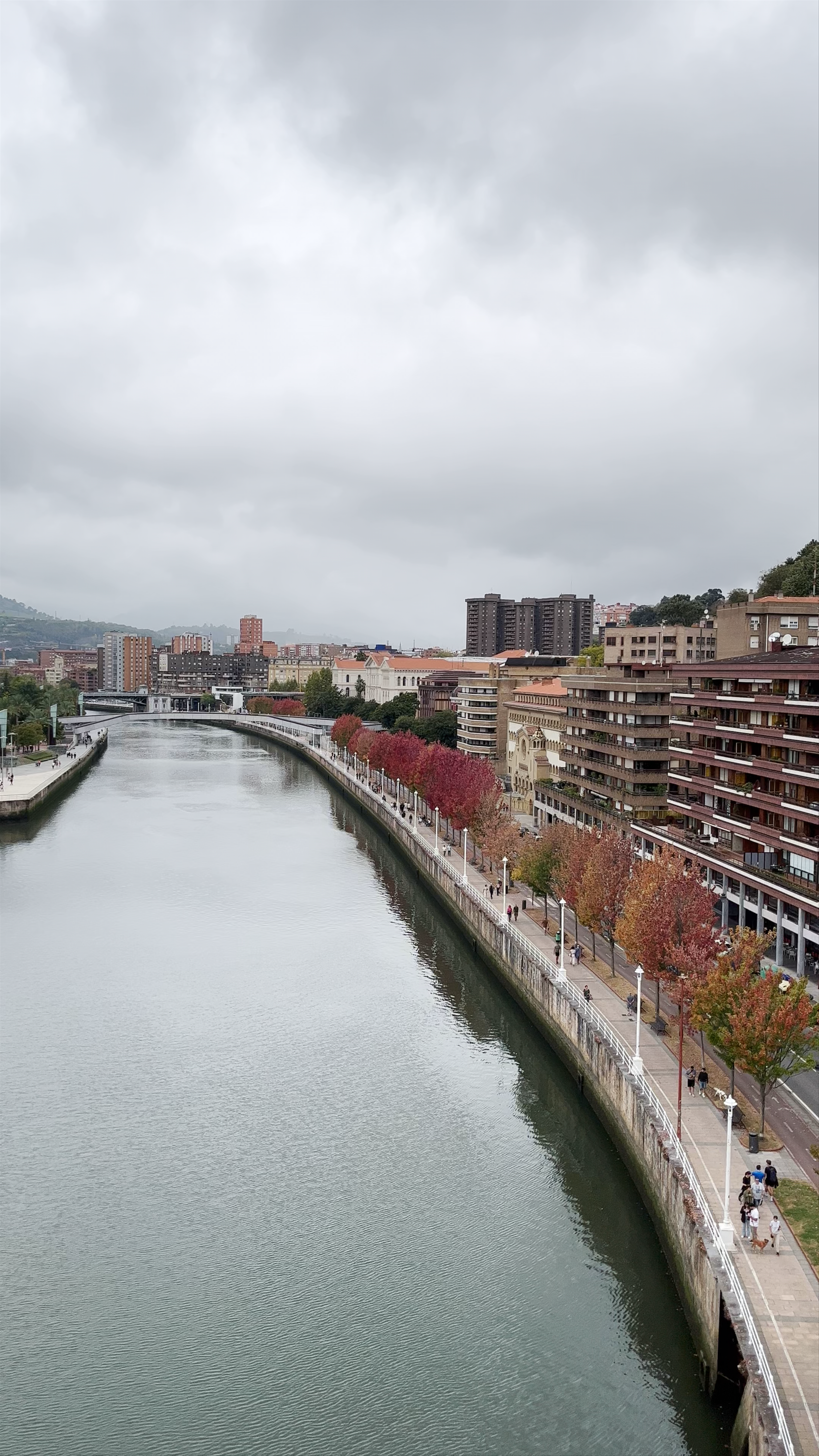 Guggenheim Museum Bilbao: Architectural Marvel on the Nervion River