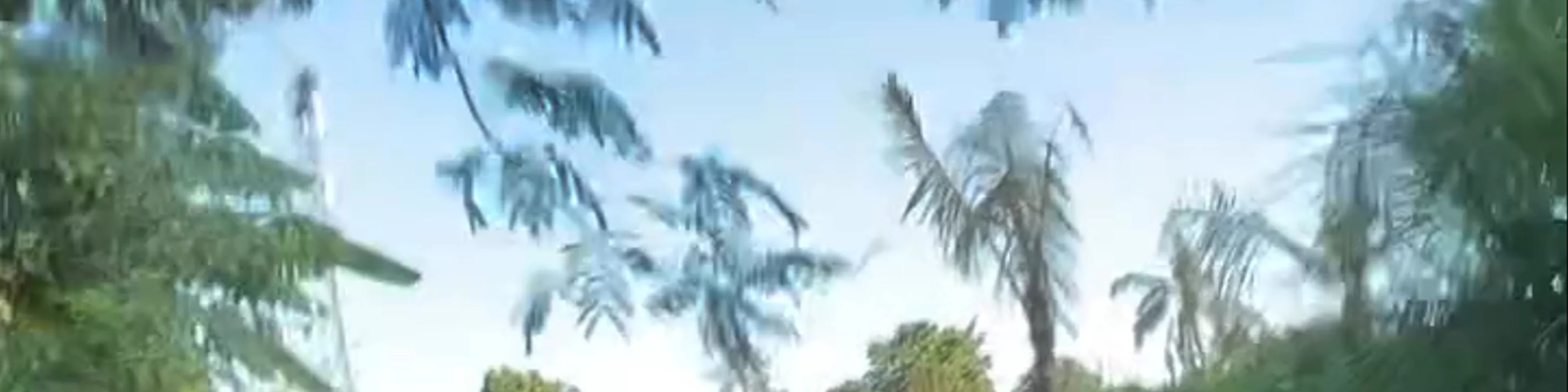 Ubud Atv Adventures