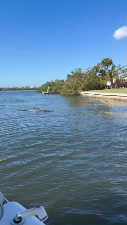 Blake Tours - Amazing adventure! - Boat Charters Near Me - Placida, Florida