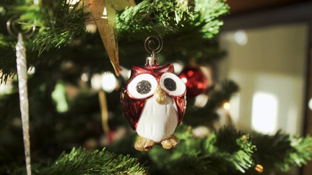 Owl ornament on Christmas tree