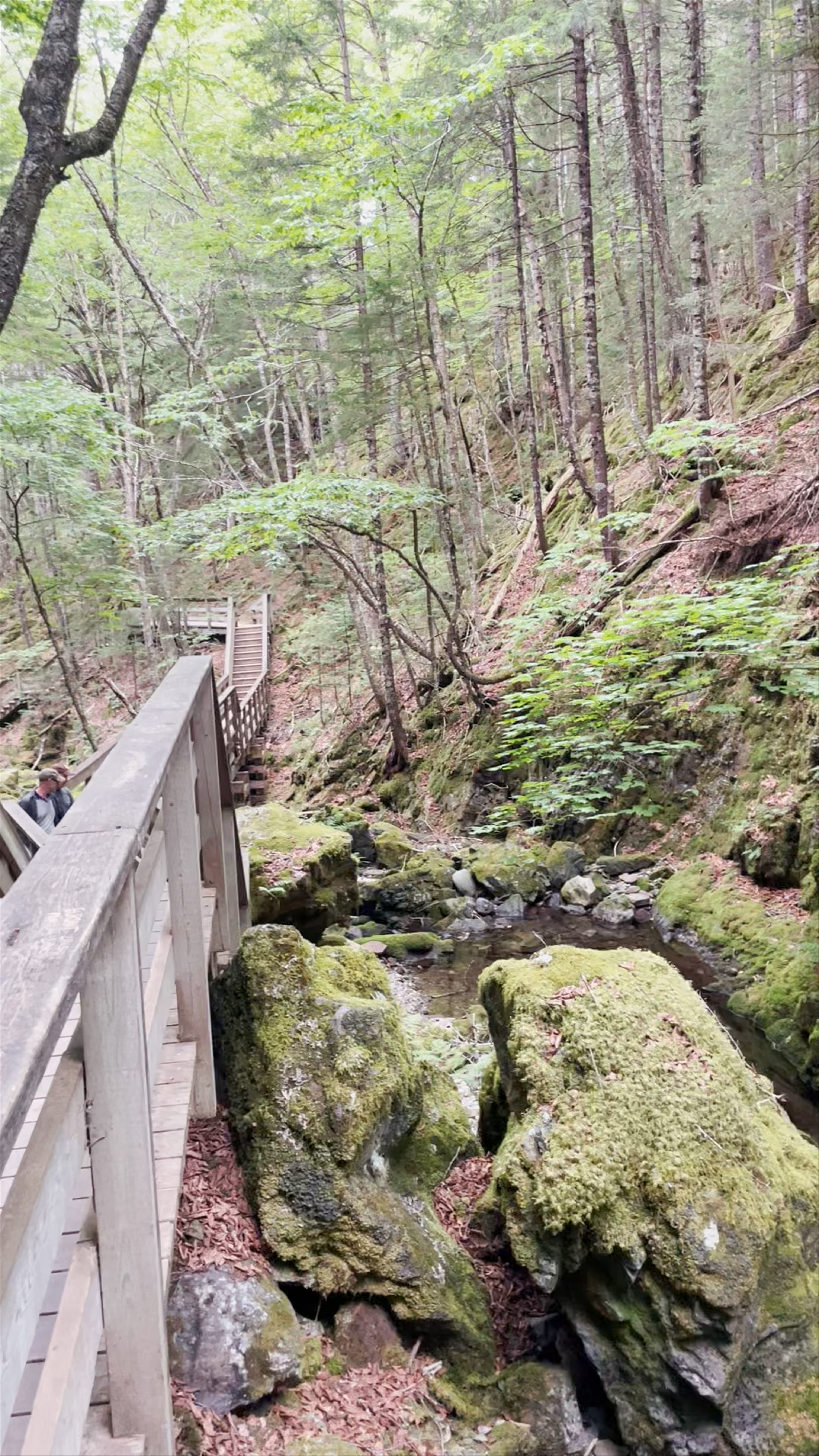 Dickson Falls Trailhead
