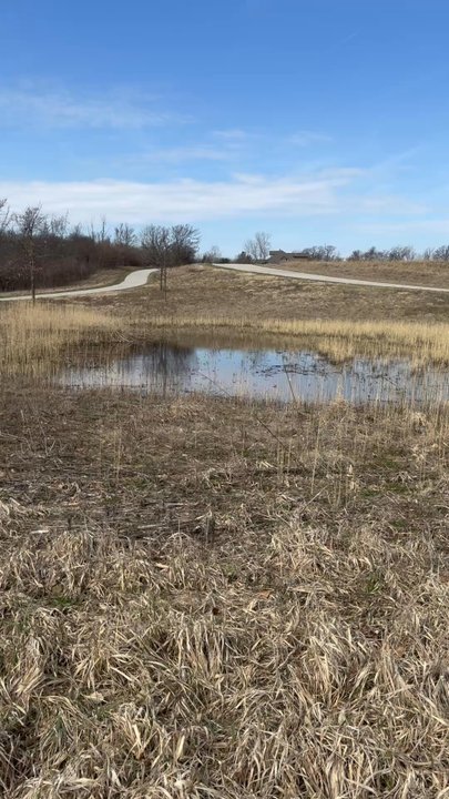 Messenger Marsh - Nice to hear a frog chorus sign of spring! - Dog Parks Near Me - Homer Glen, Illinois