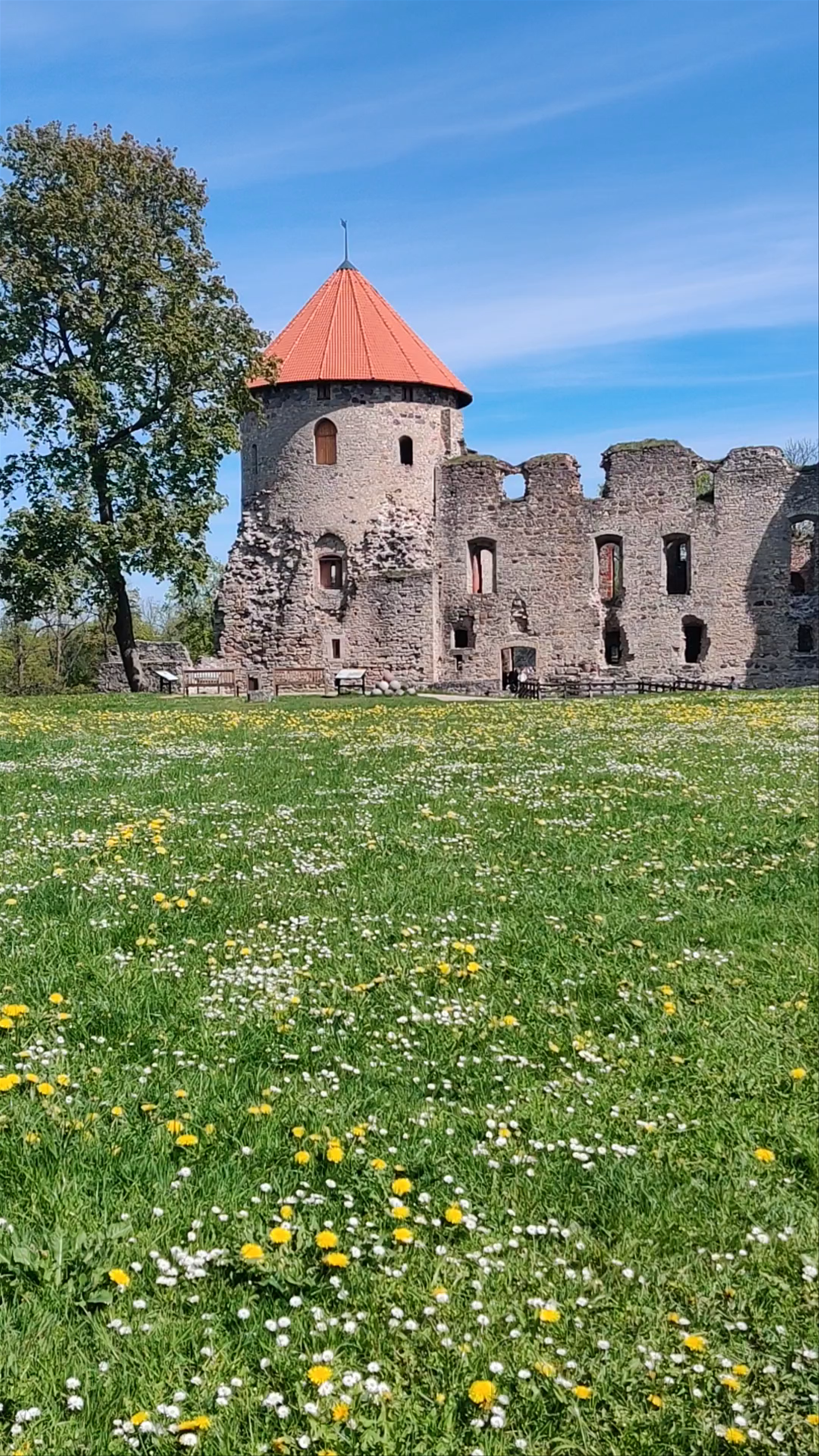 Cēsis Castle