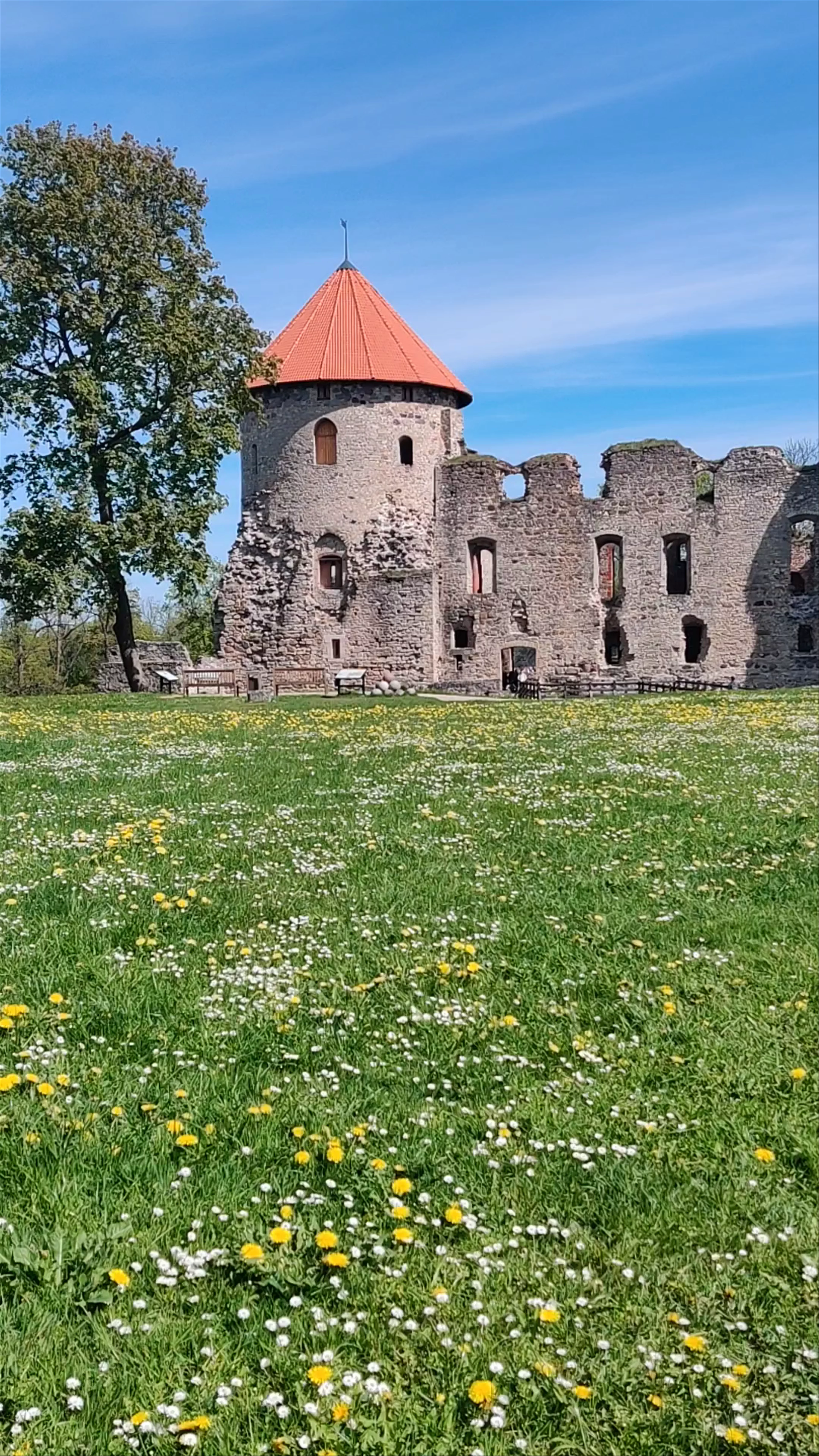 Cēsis Castle, Pils laukums, Cēsis, Cēsu pilsēta, Latvia