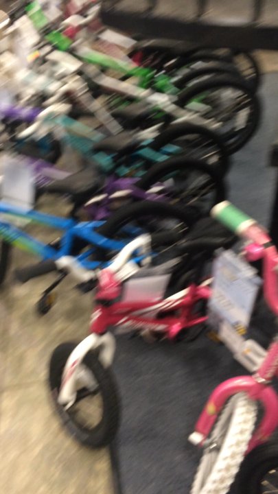 Mike's Bikes of Berkeley - Bikes on bikes on bikes - Bikes Near Me - Berkeley, California
