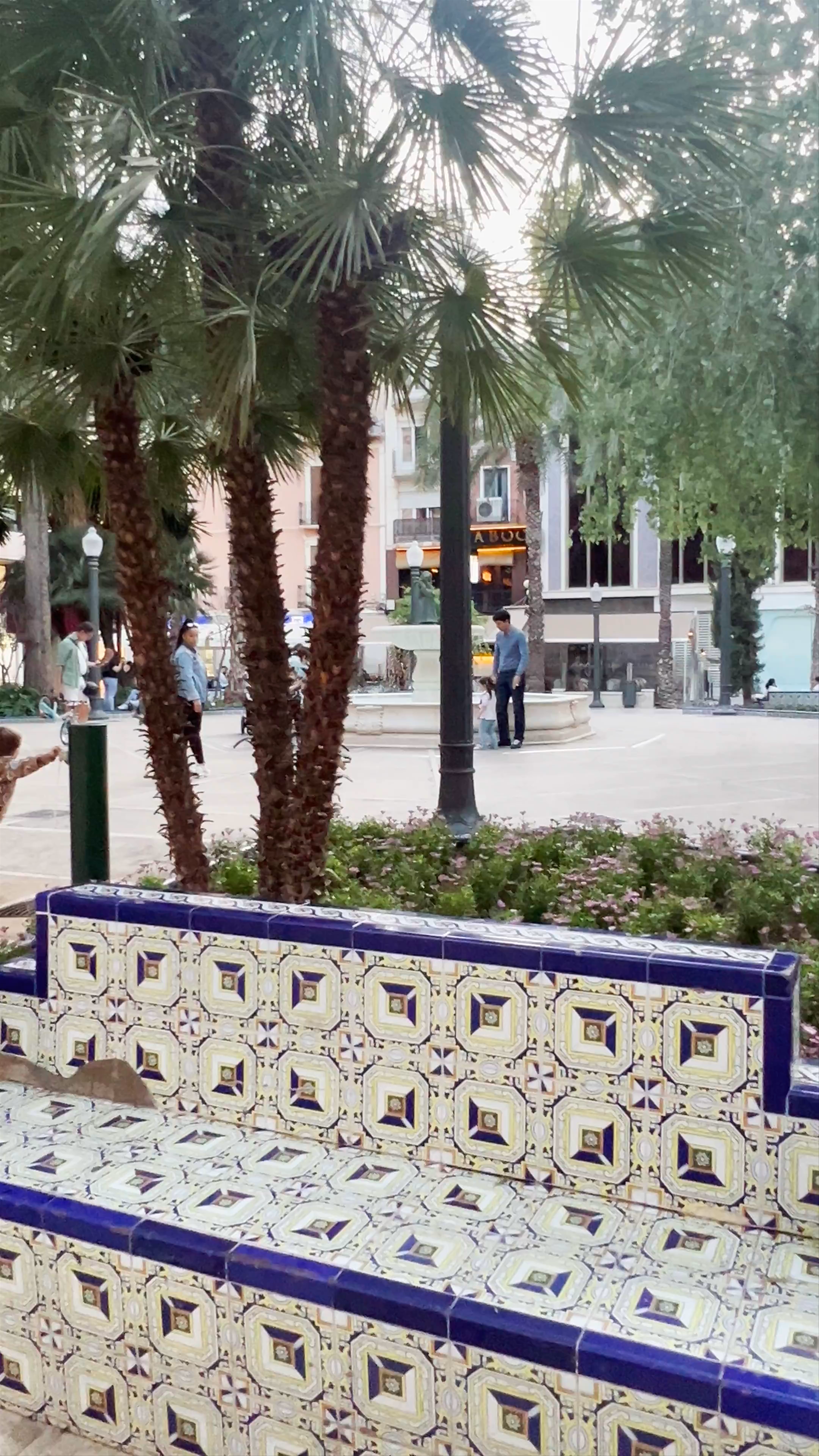 Morning Stroll Through Plaza Glorieta in Elche, Spain