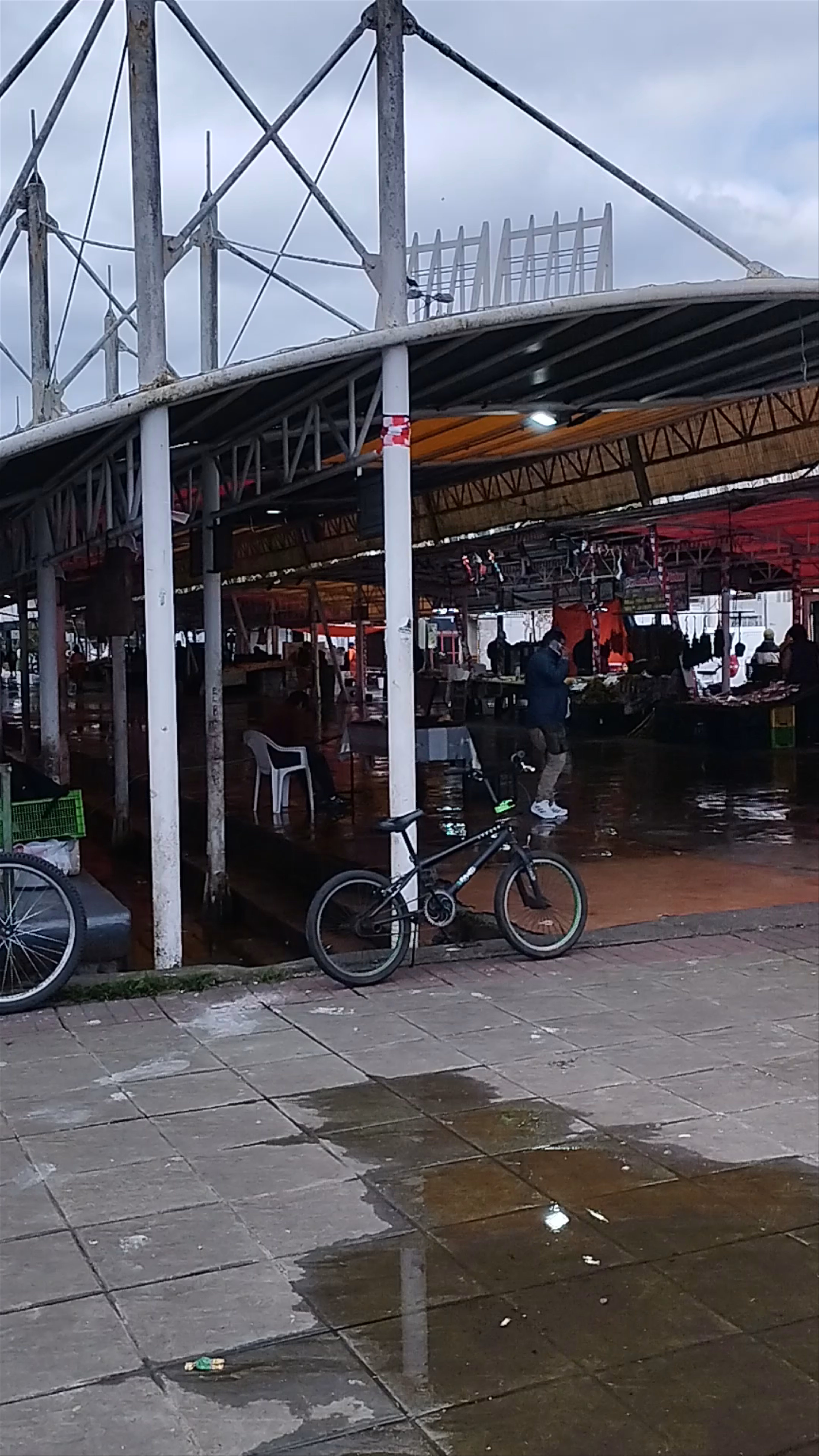 Feria Fluvial de Valdivia - Libertad