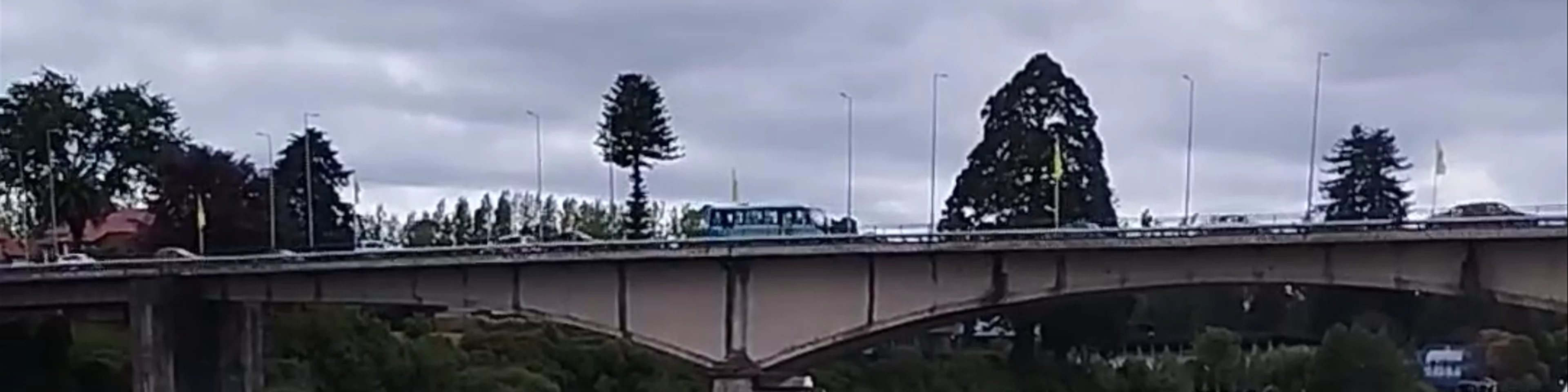 Feria Fluvial de Valdivia - Libertad