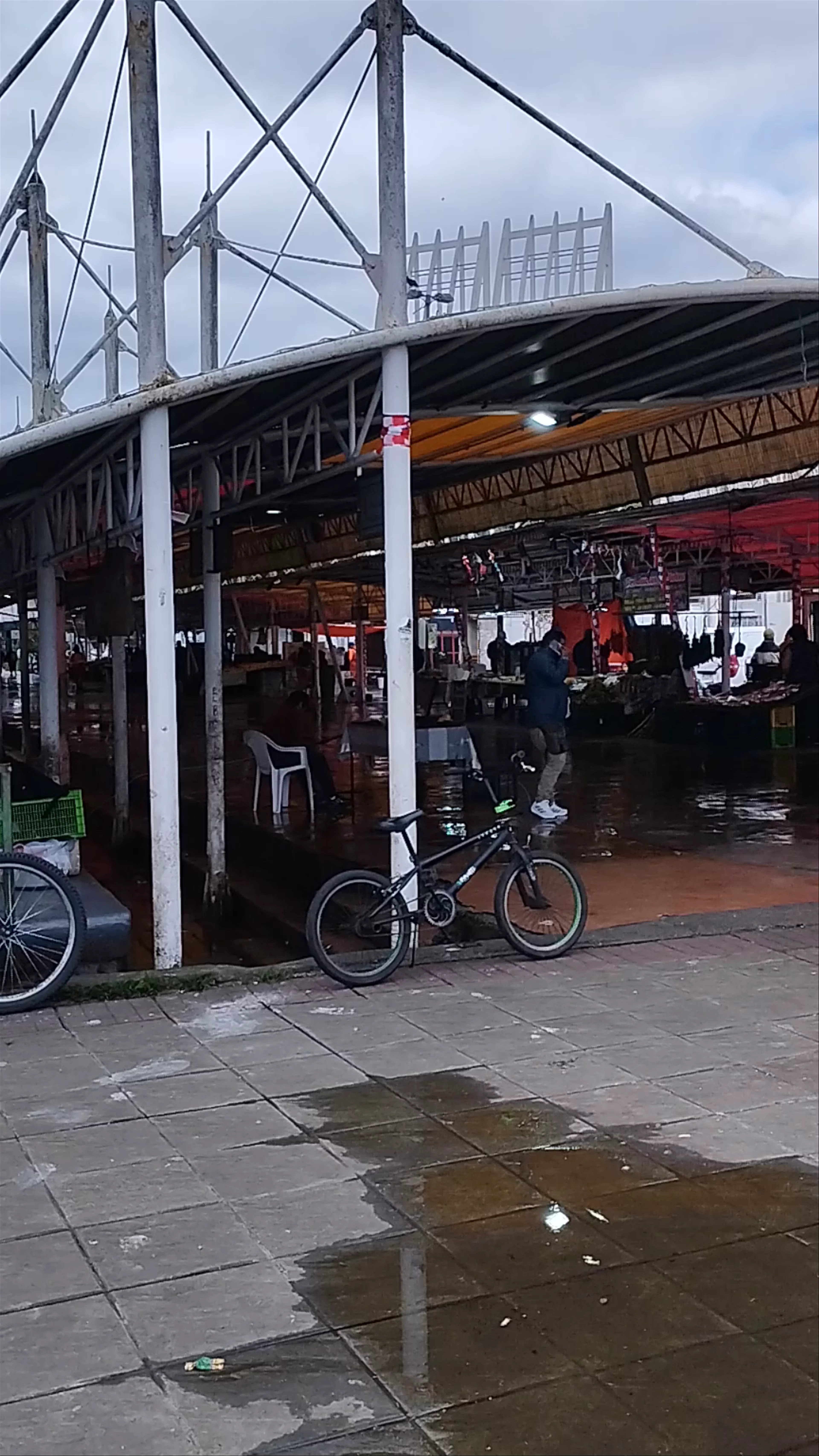Feria Fluvial de Valdivia