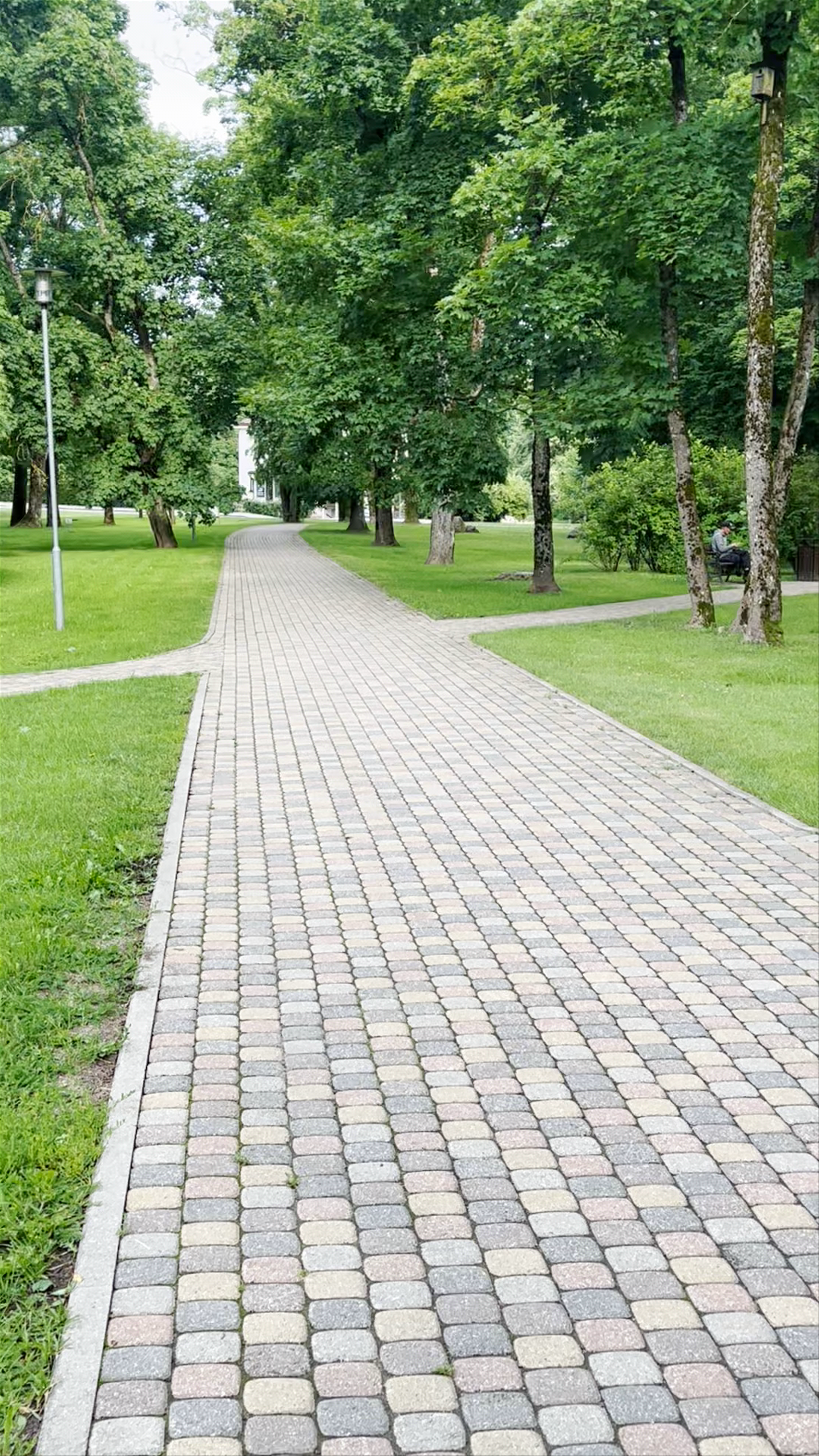 Tranquil Walk Through Lush Park in Sigulda, Latvia