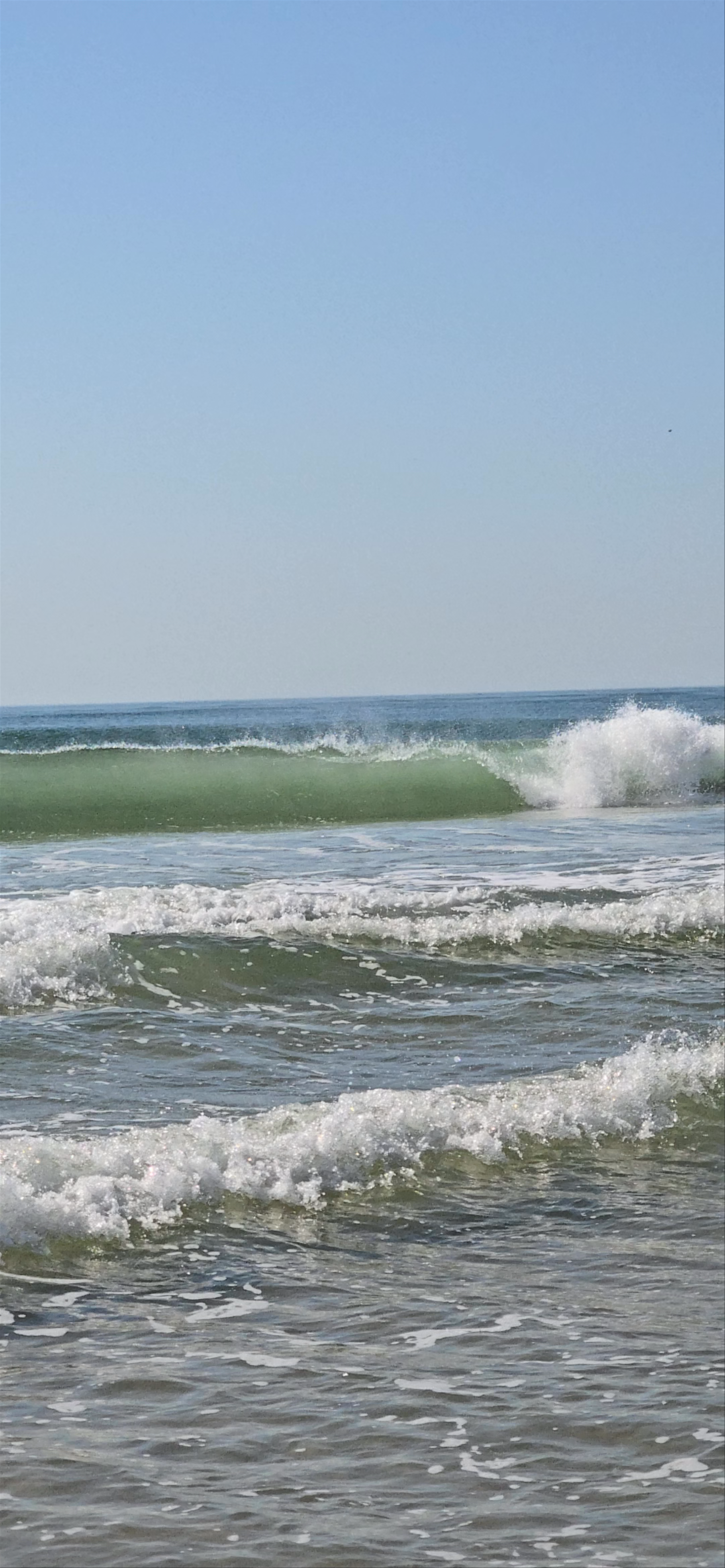 Surf Lisbon - The School @ Costa da Caparica