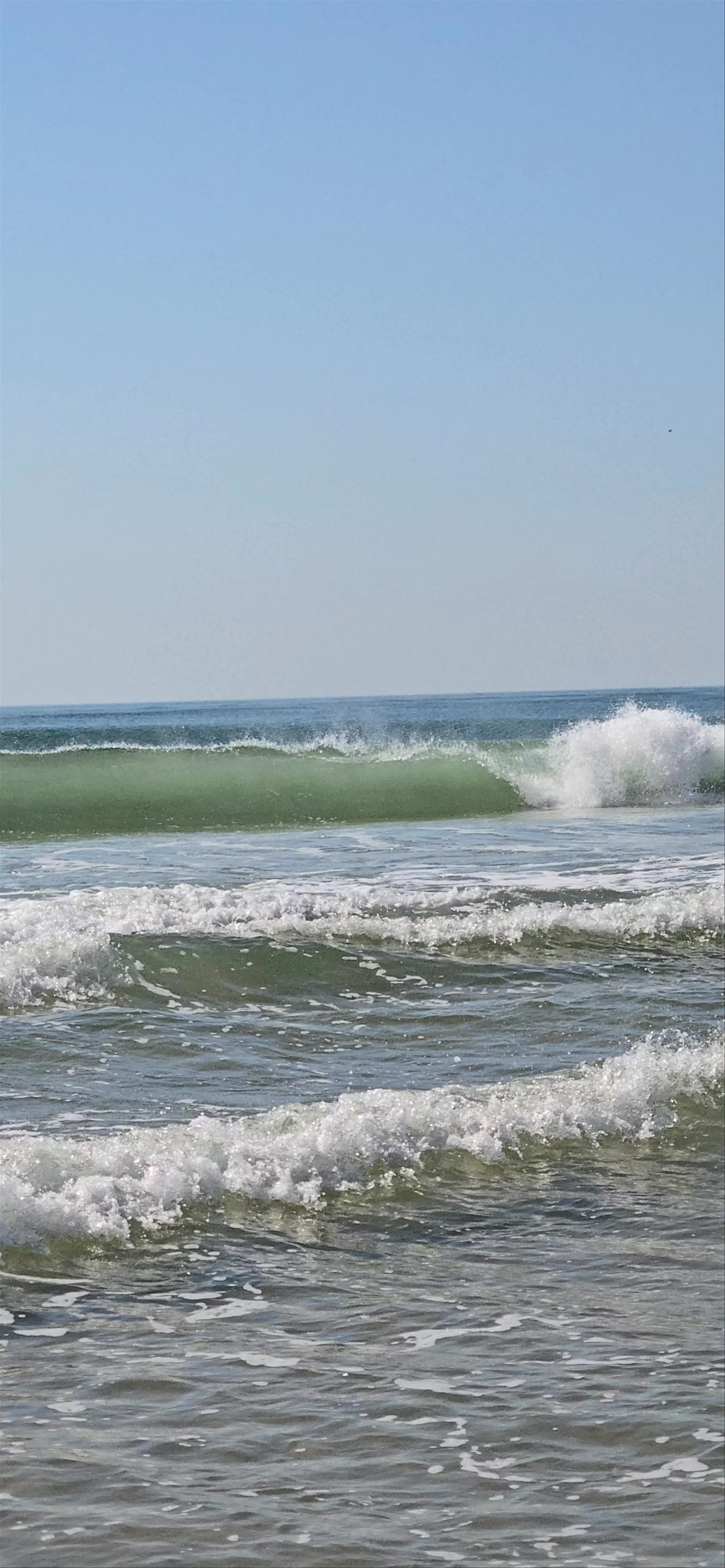 Surf Lisbon - The School @ Costa da Caparica