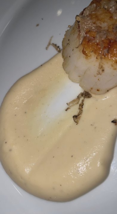 Marino Restaurant - Maine scallop, celery root, shaved black truffles - Italian Near Me - Los Angeles, California