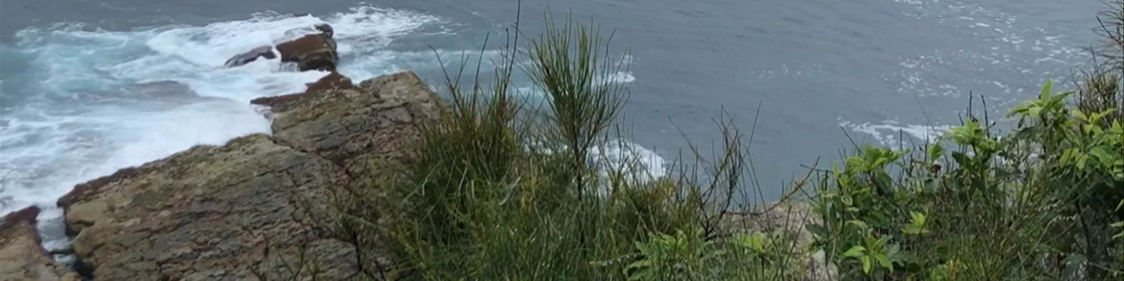Bannisters by the Sea