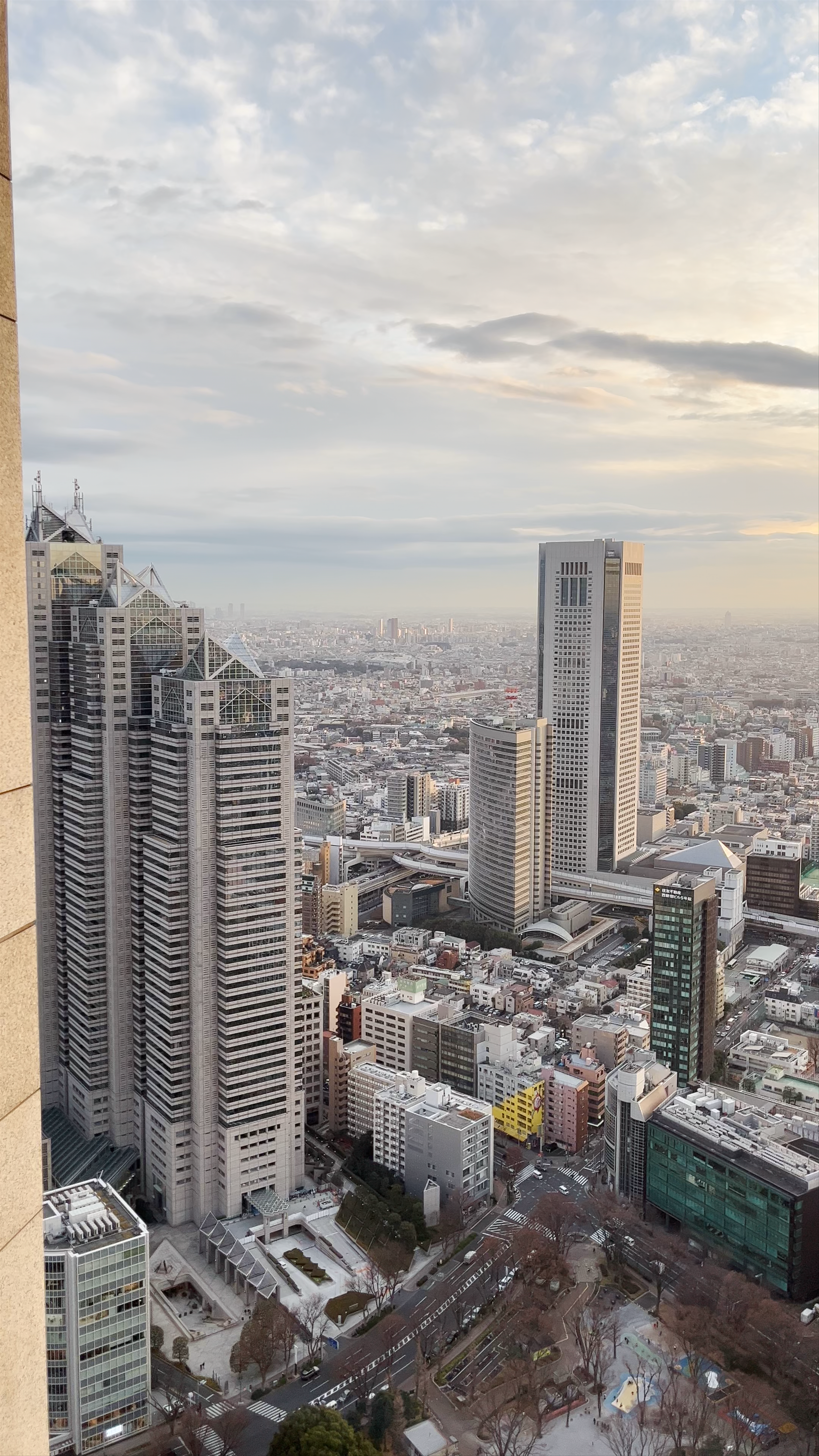 Breathtaking Urban Panorama from Tokyo Metropolitan Government Building at Sunset